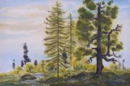 Georg Gelbke, Bäume im Heidemoor, 1920-30, Aquarell, 34 x 51 cm