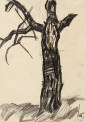 Curt Querner, Der alte Baumstamm gegen den Himmel, 1966, Graphit auf Papier, 42 x 29,8 cm, WVZ Dittrich C 558