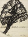 Fritz Tröger, Baum, 1928, Kreidezeichnung, 44,2 x 34,4 cm