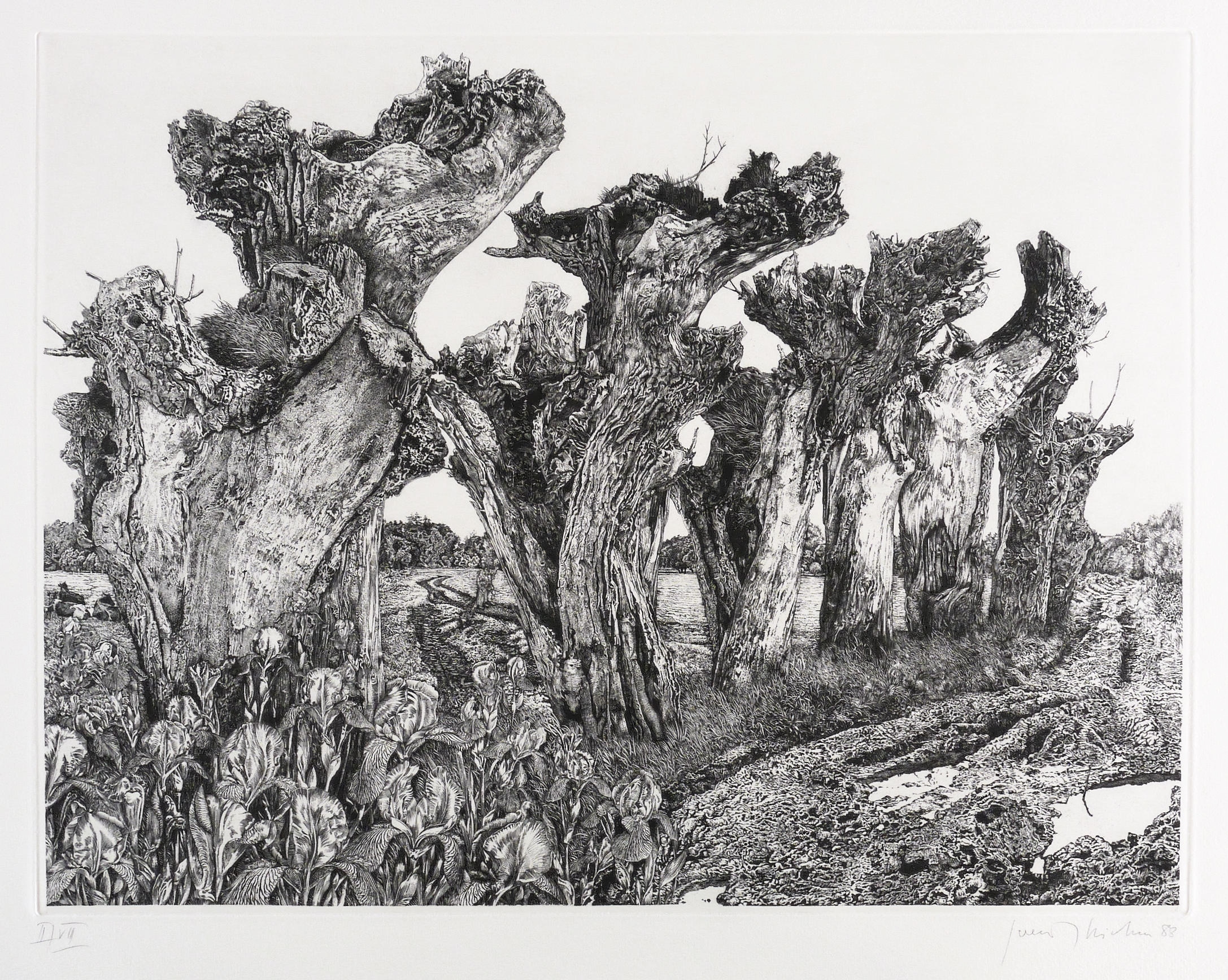 Gerenot Richter, Begegnung (Bremer Iris), 1988