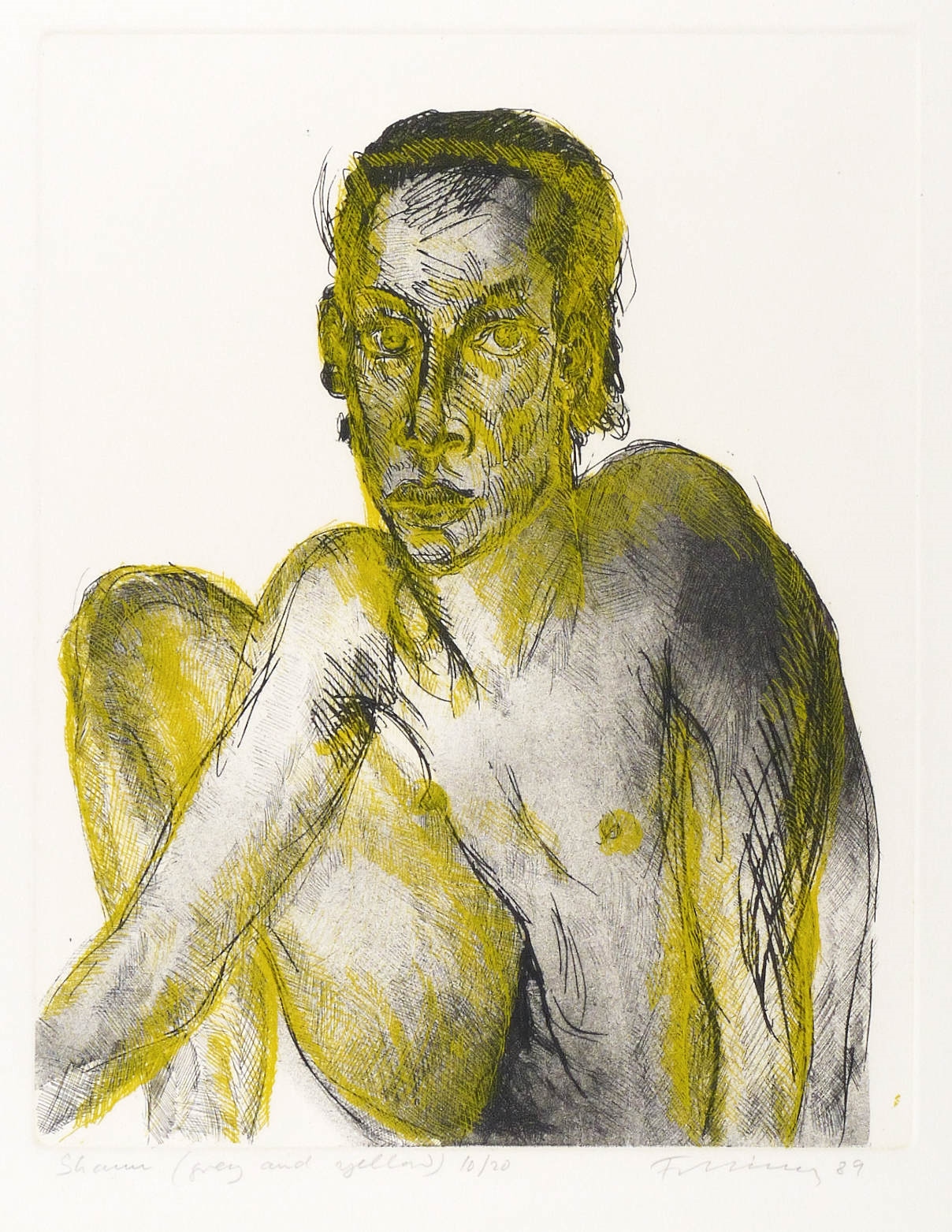 Shawn (grey and yellow)