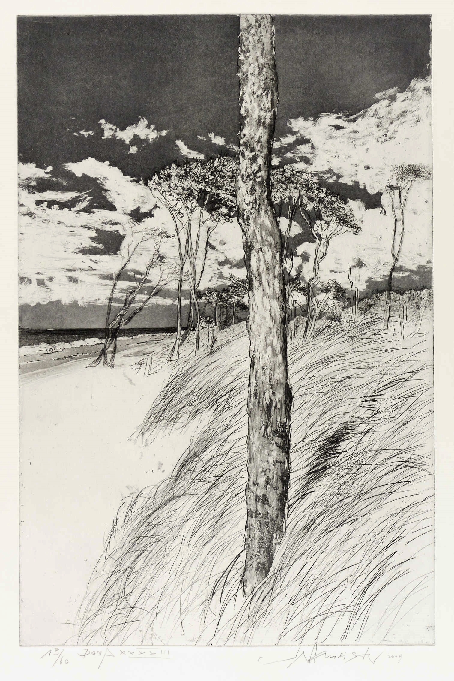 Wolfgang Werkmeister, Darß XXXXIII, 2009