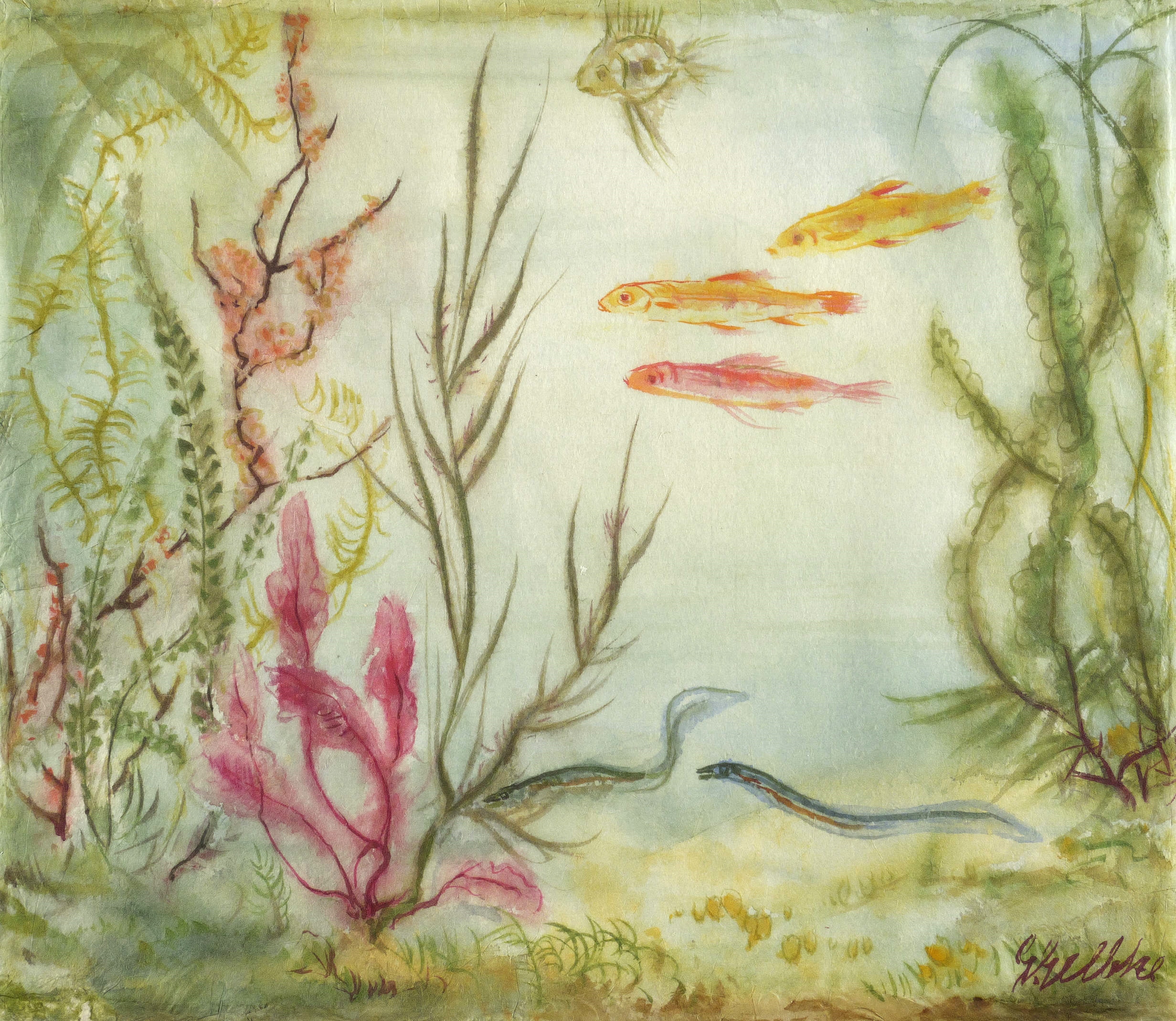 Georg Gelbke – „Zierfische im Aquarium“