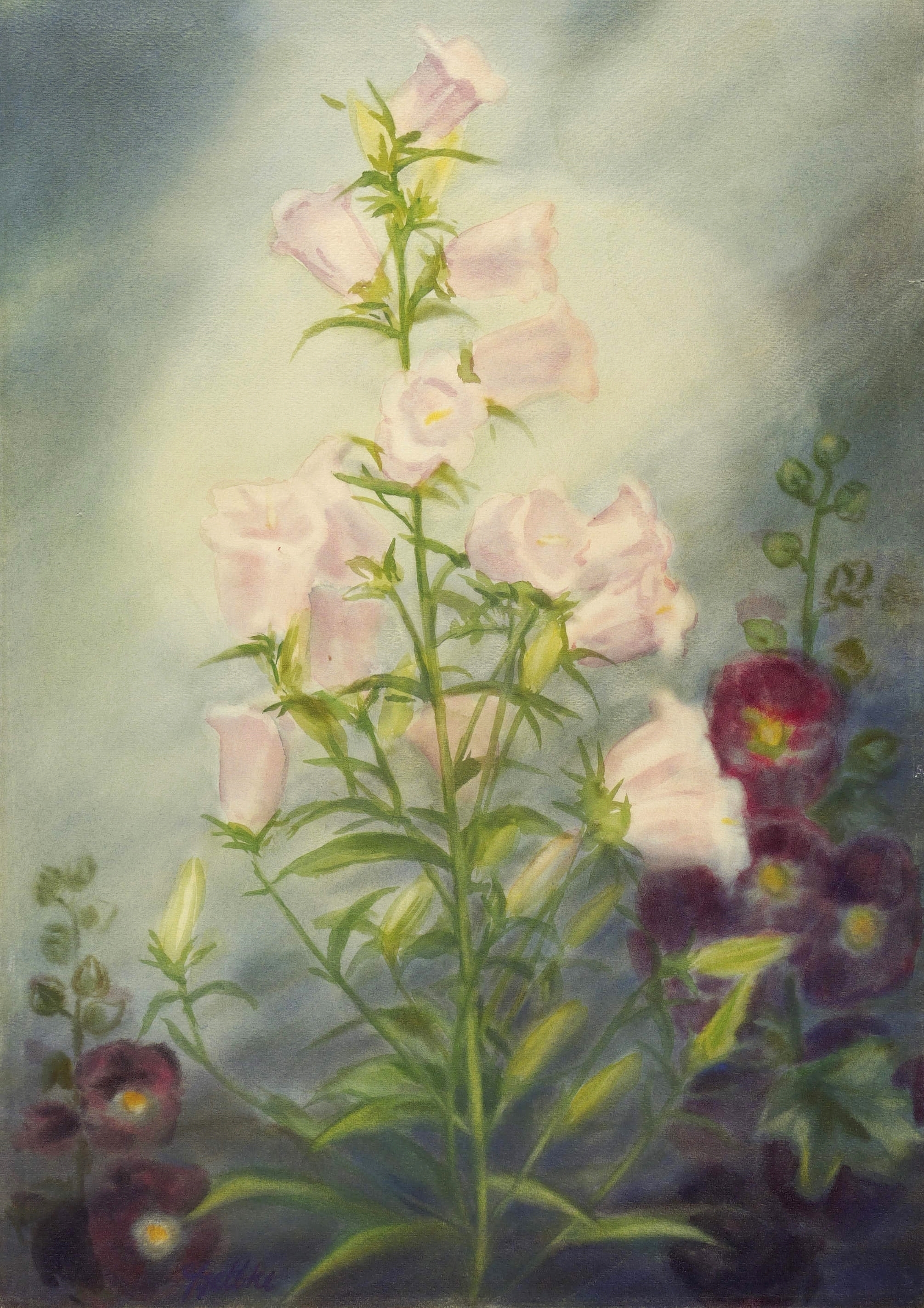 Georg Gelbke – „Marienglockenblume und Stockrosen“