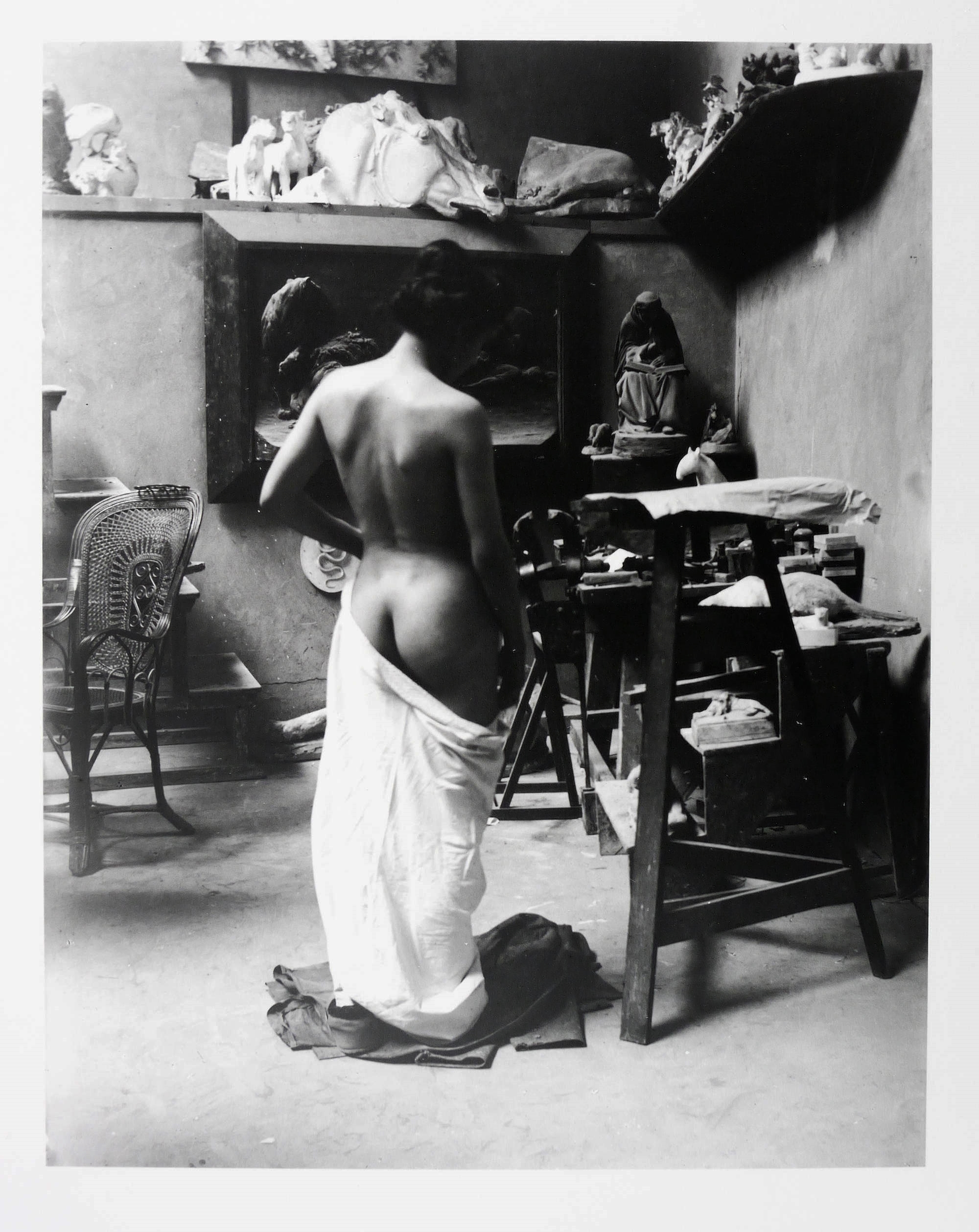 Rückenansicht (Rosa Meißner) Rückenansicht (Rosa Meißner)