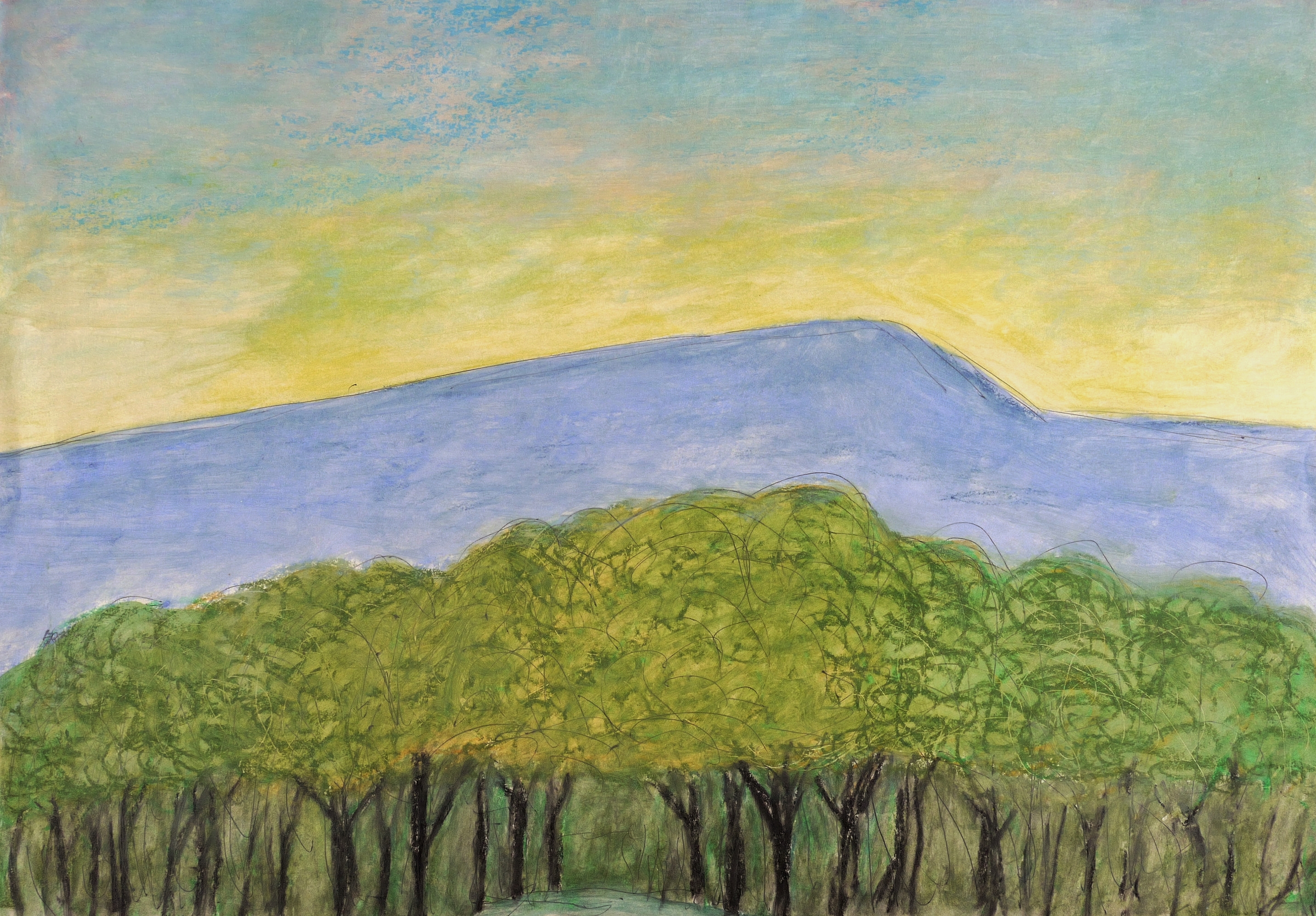 Am Borsberg bei Pillnitz