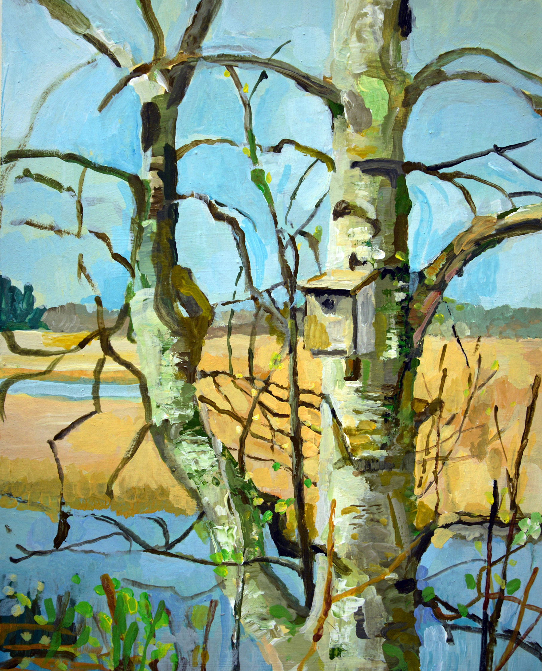 Lutz Bleidorn, Fockbeker Moor, 2019