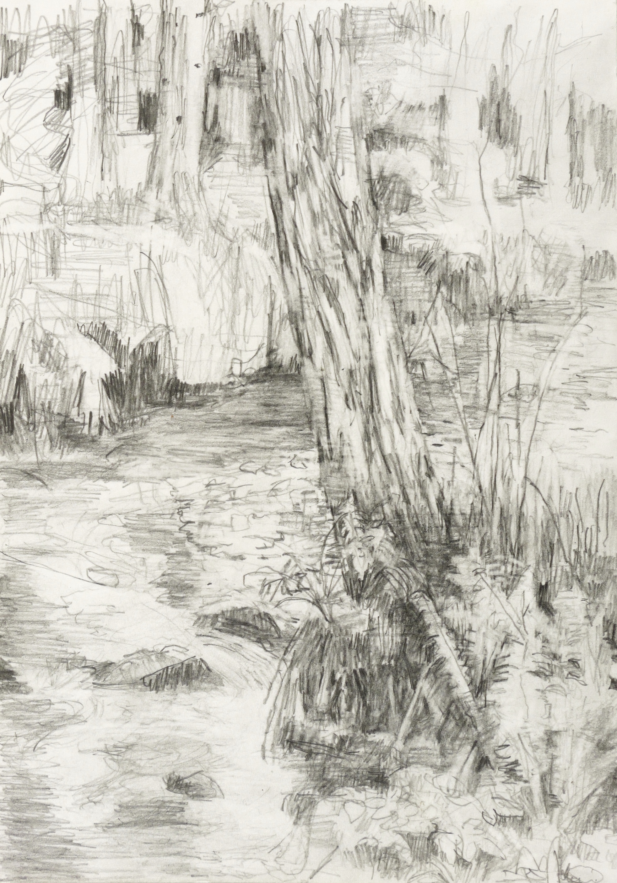 Juni an der Prießnitz