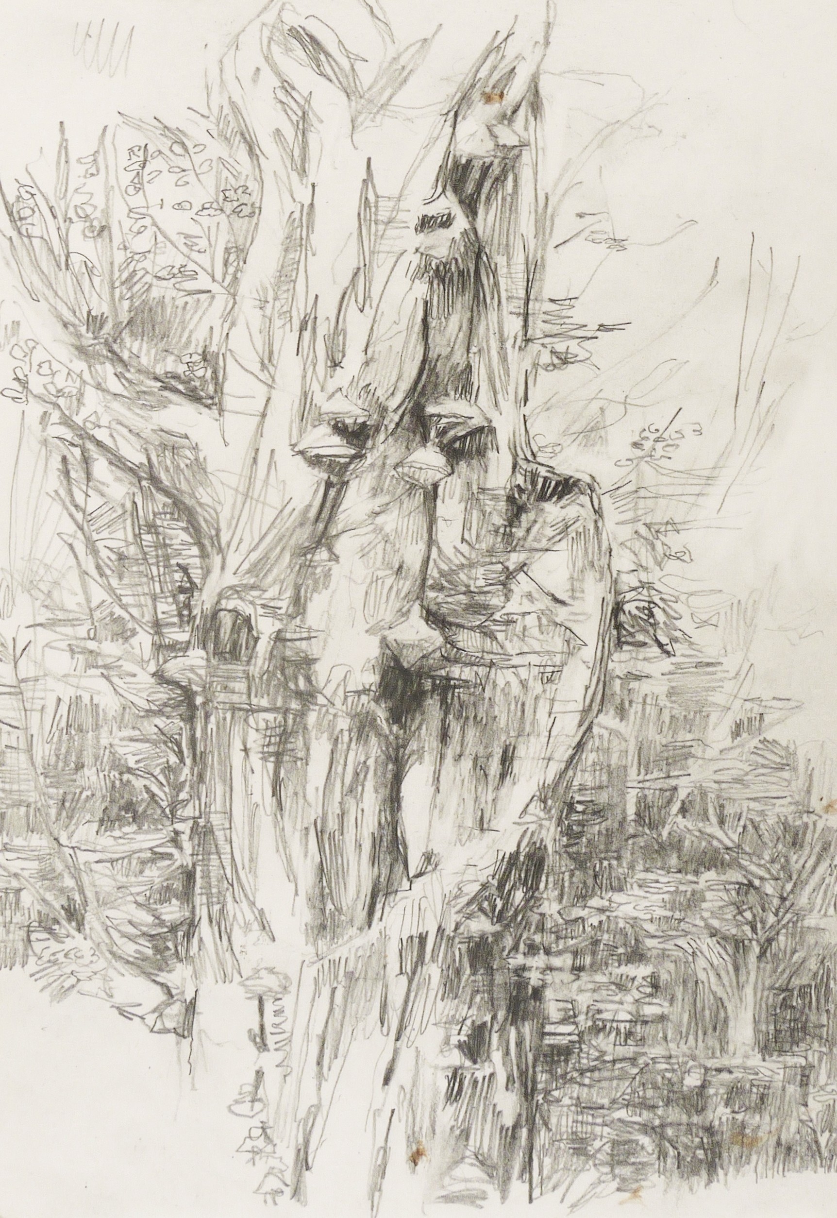 Lutz Bleidorn, Buche mit Baumpilzen (am Diebsteig), 2017