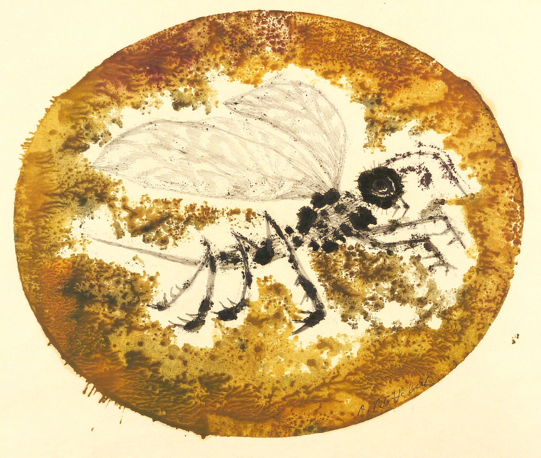 Agathe Böttcher – „Bernsteinmücke“