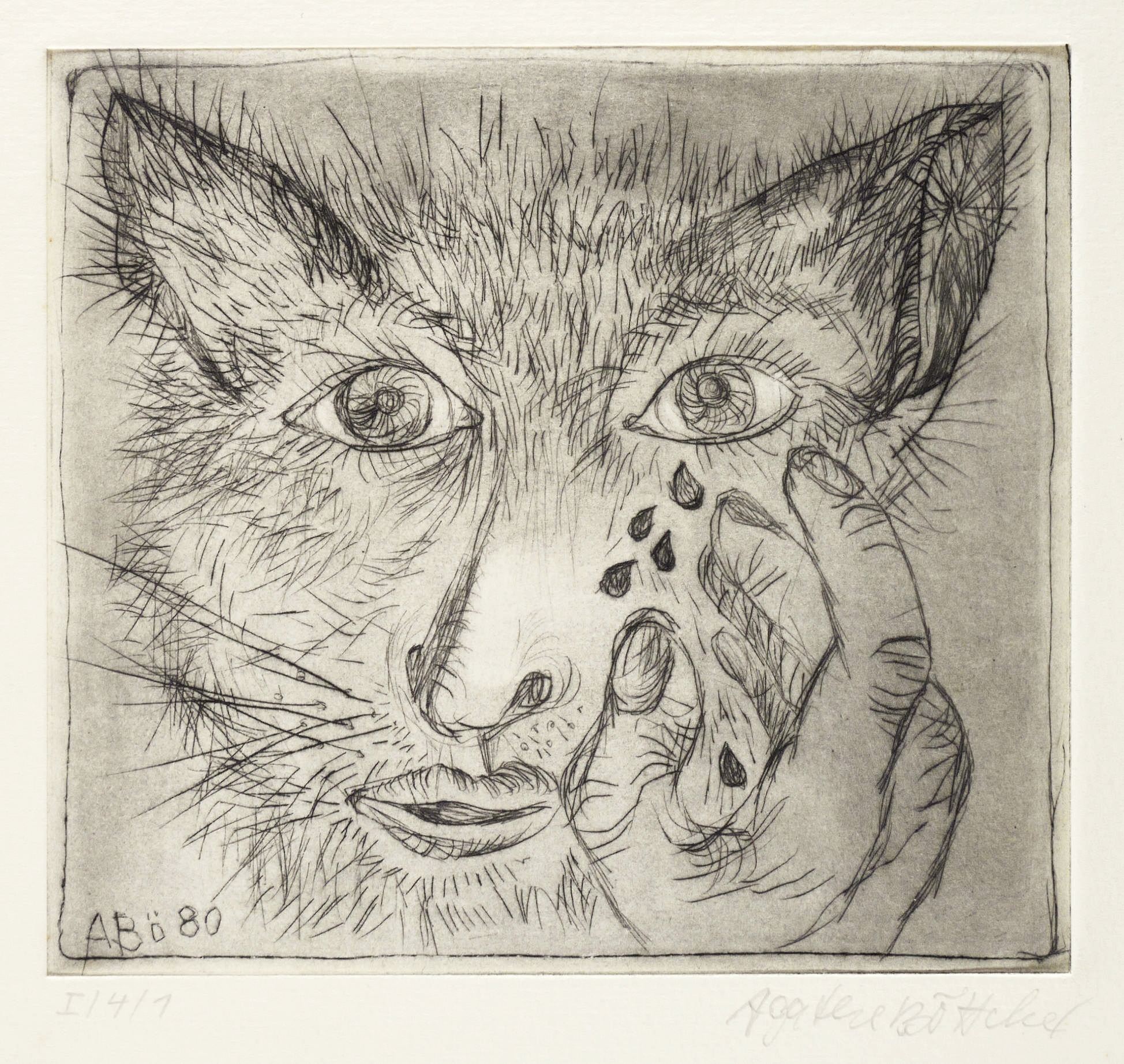 Katzen-Gesicht Katzen-Gesicht