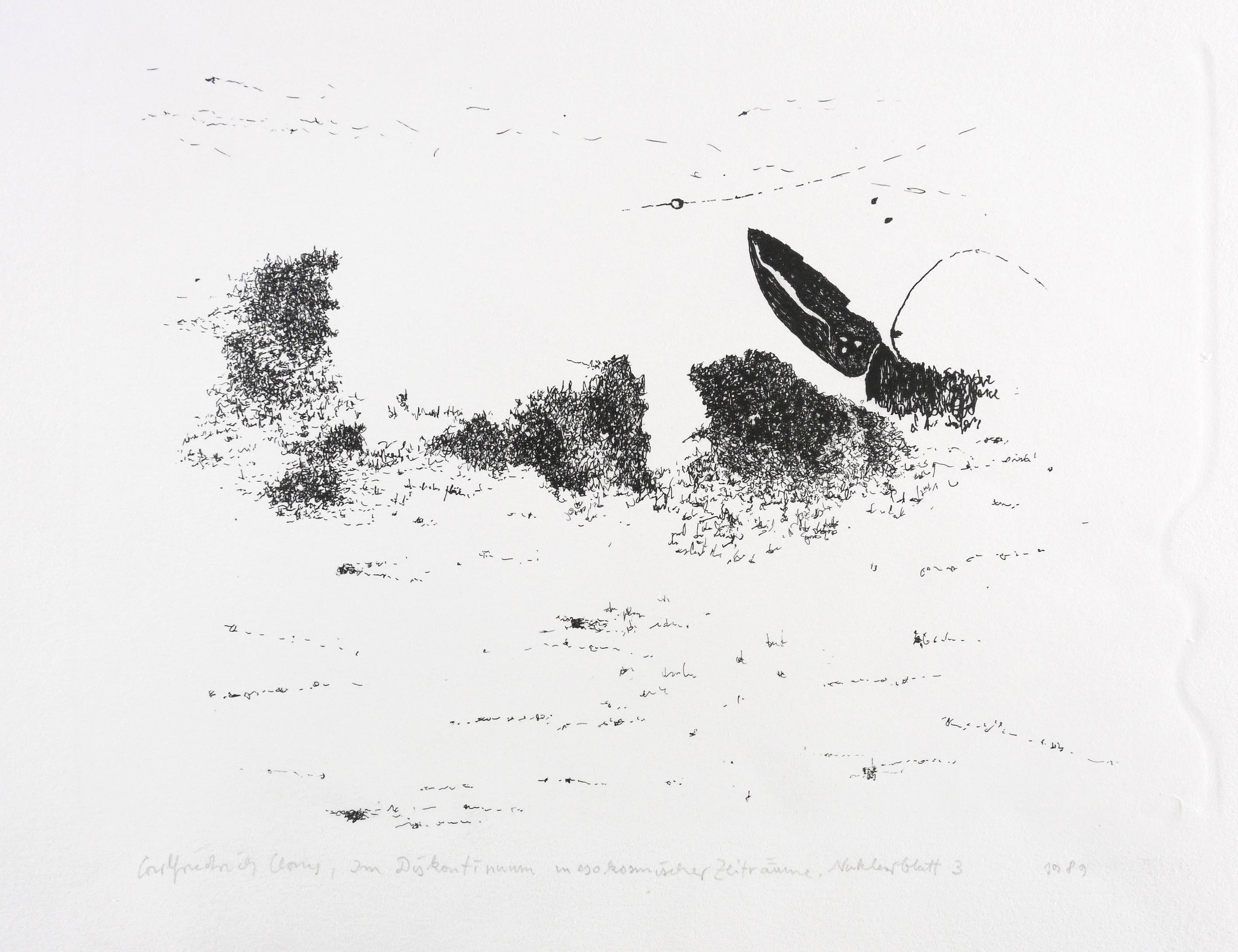 Im Diskontinuum mesokosmischer Zeiträume. Nuklearblatt 3