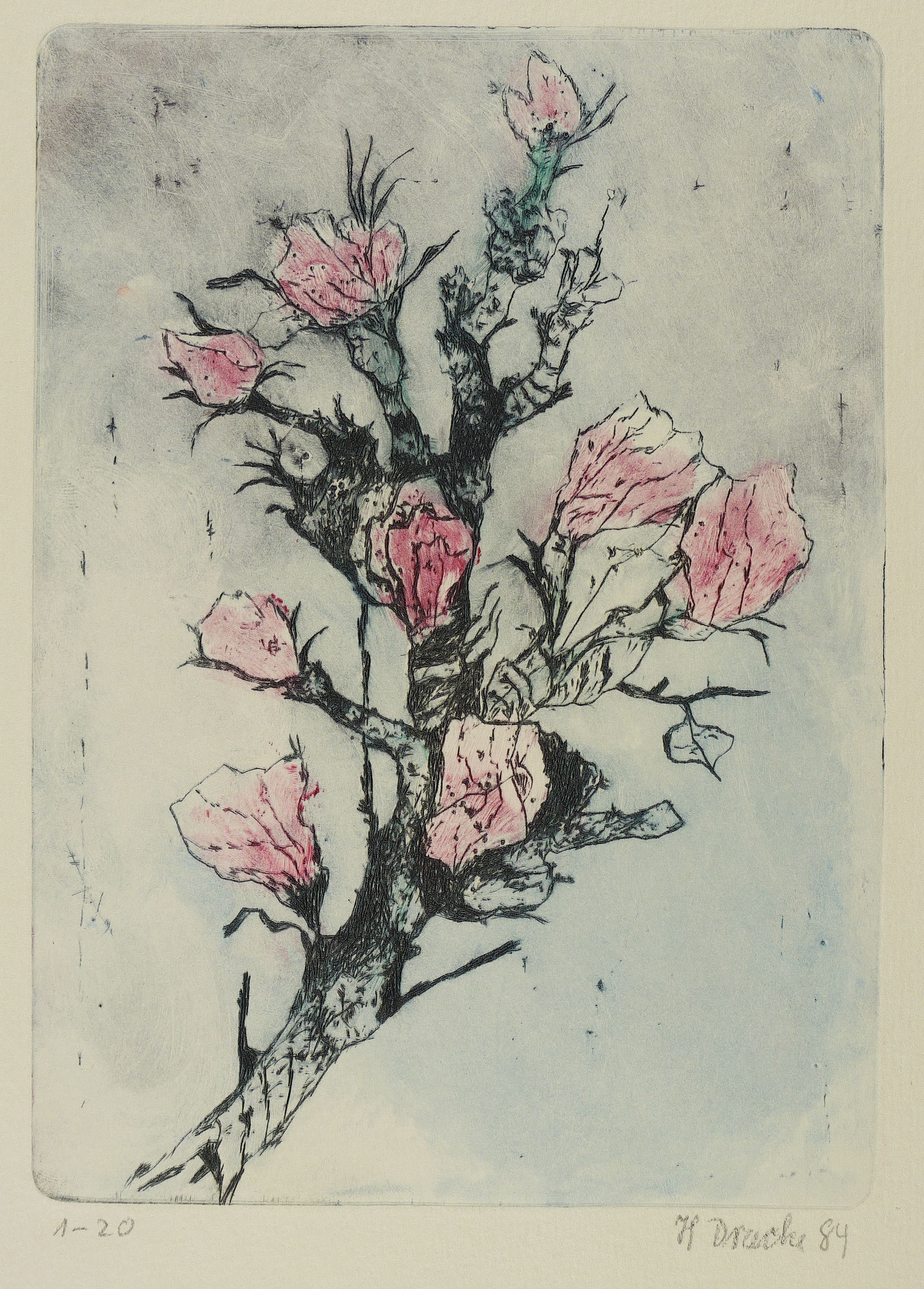 Rosenzweig II Rosenzweig II