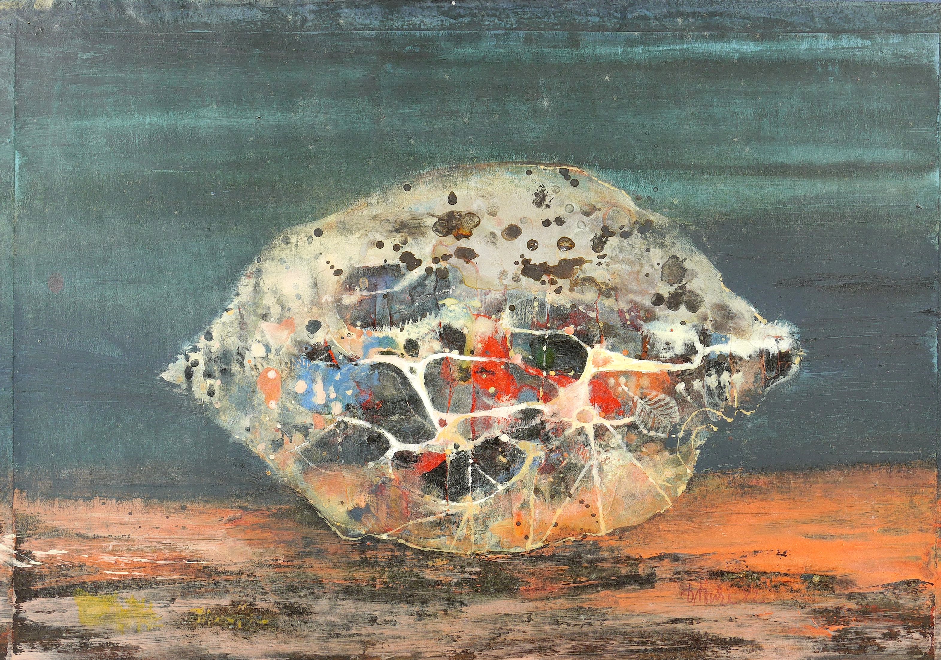 Heinz Drache – „Muschel auf dem Meeresgrund“