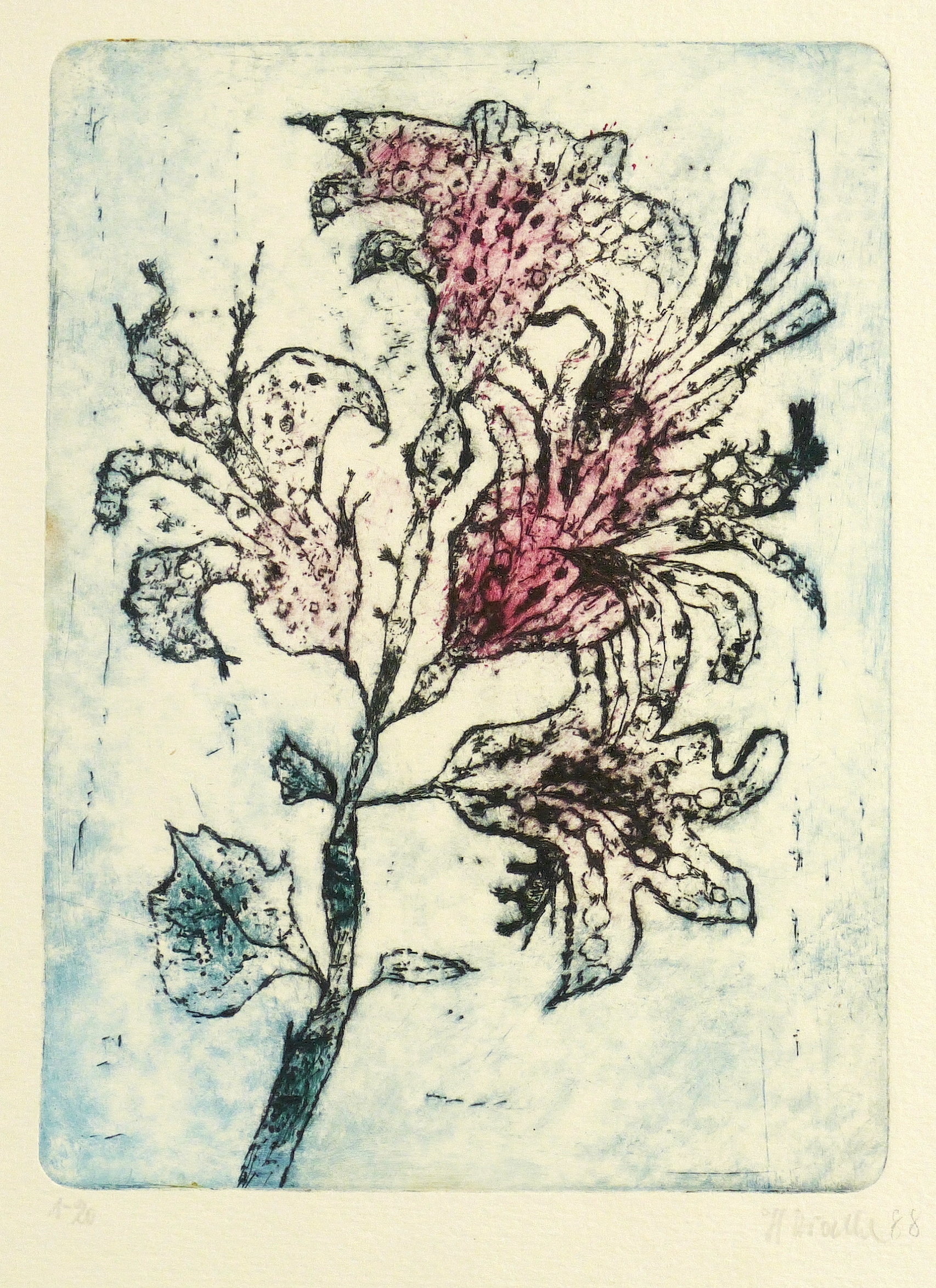 Graziler Blütenzweig Graziler Blütenzweig