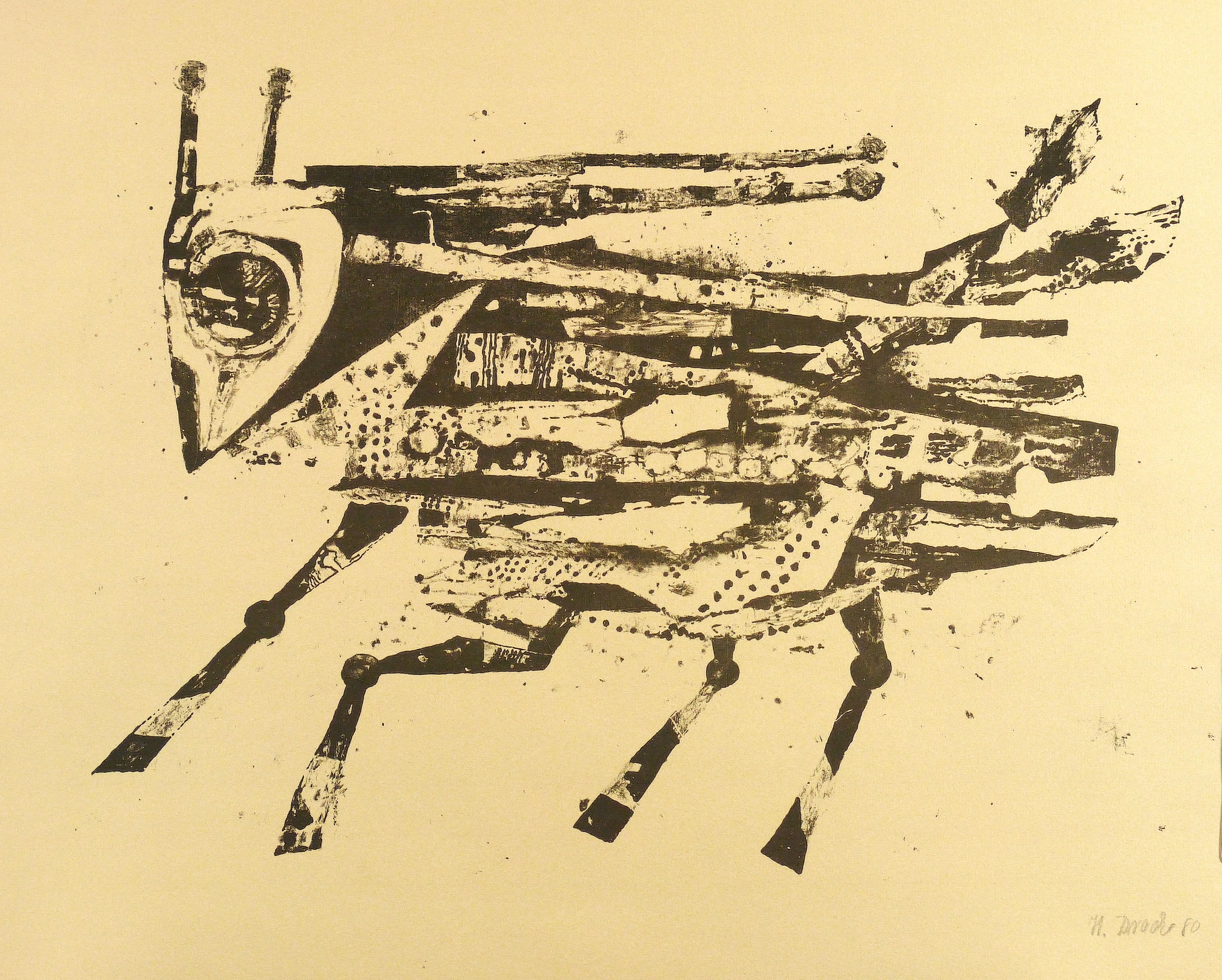 Grashüpfer Grashüpfer