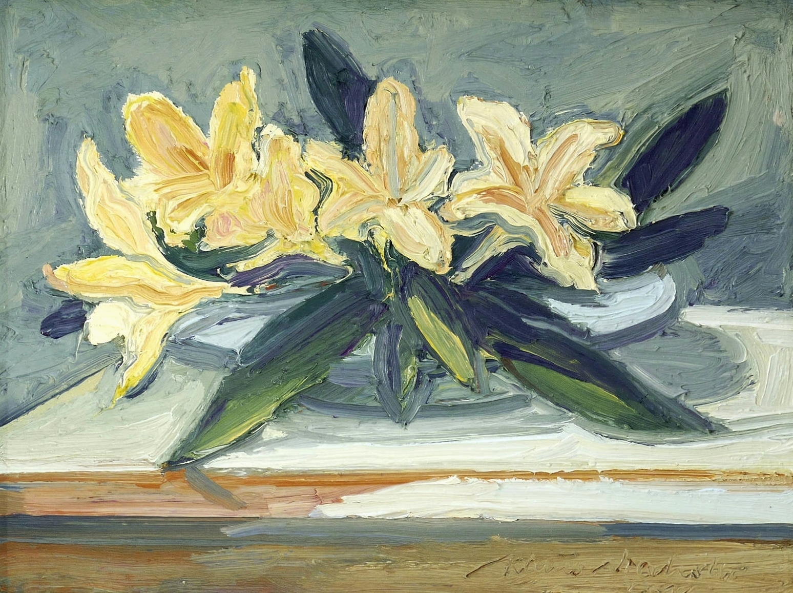 Gelbe Rhododendronblüten Gelbe Rhododendronblüten