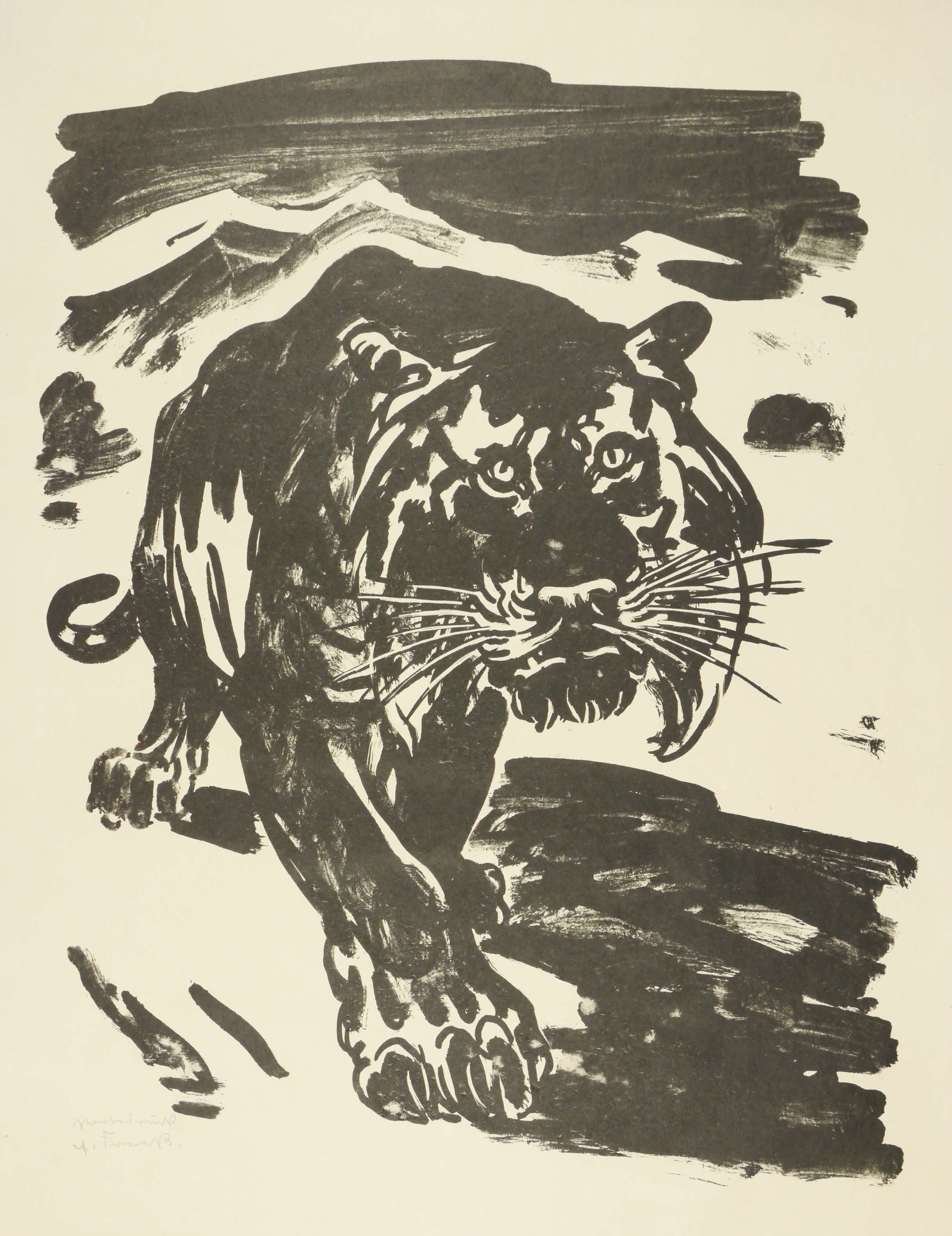 Tiger Sascha Tiger Sascha