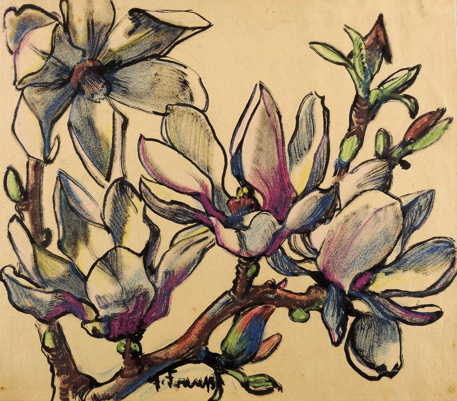 Erich Fraaß, Magnolienblüten, 1930-1940