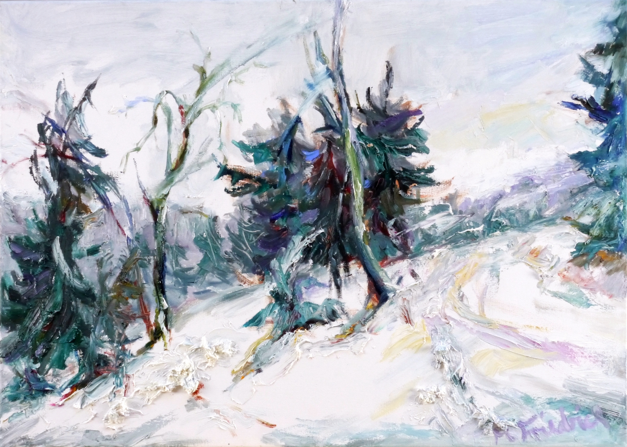 Mandy Friedrich, Gebirgsnebel im Schnee / Fichtelberg, 2020/2022