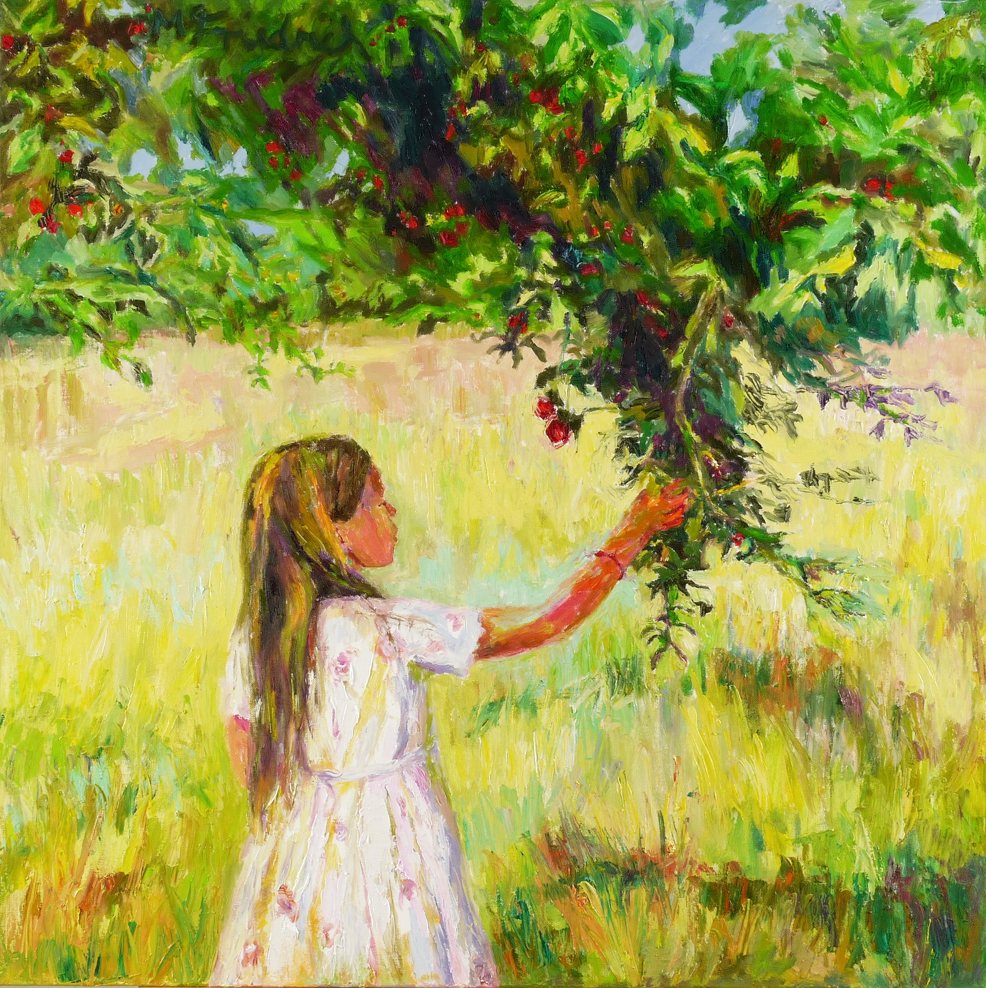 Kleine Mirabellenpflückerin