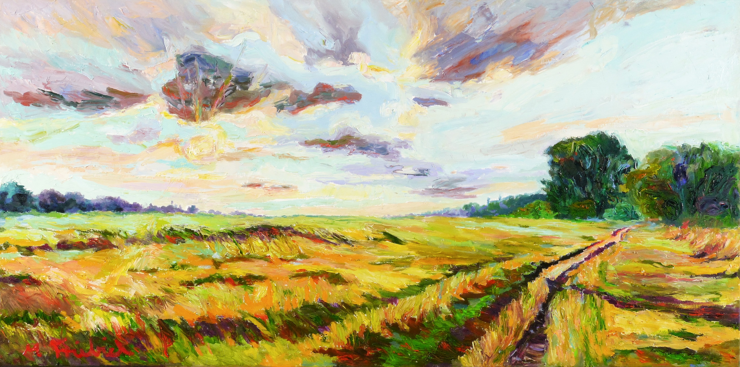 Entlang der Elbwiesen bei Sonnenuntergang