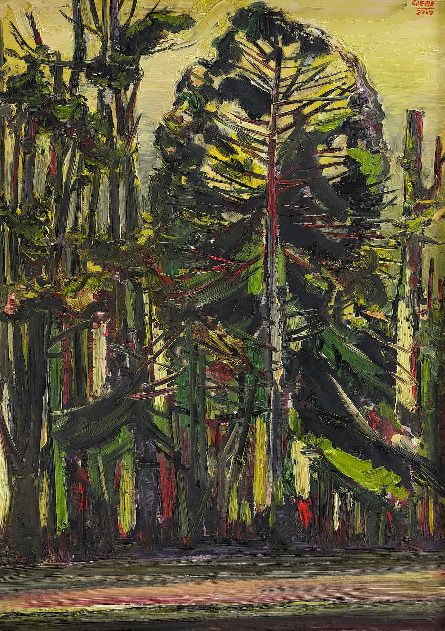 Waldstück Waldstück