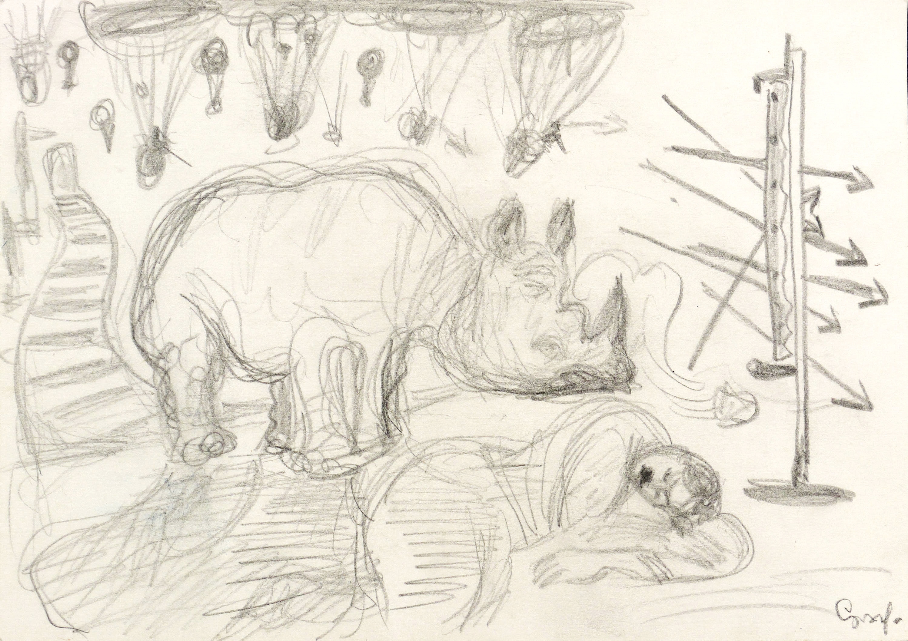 Traum vom letzten Nashorn