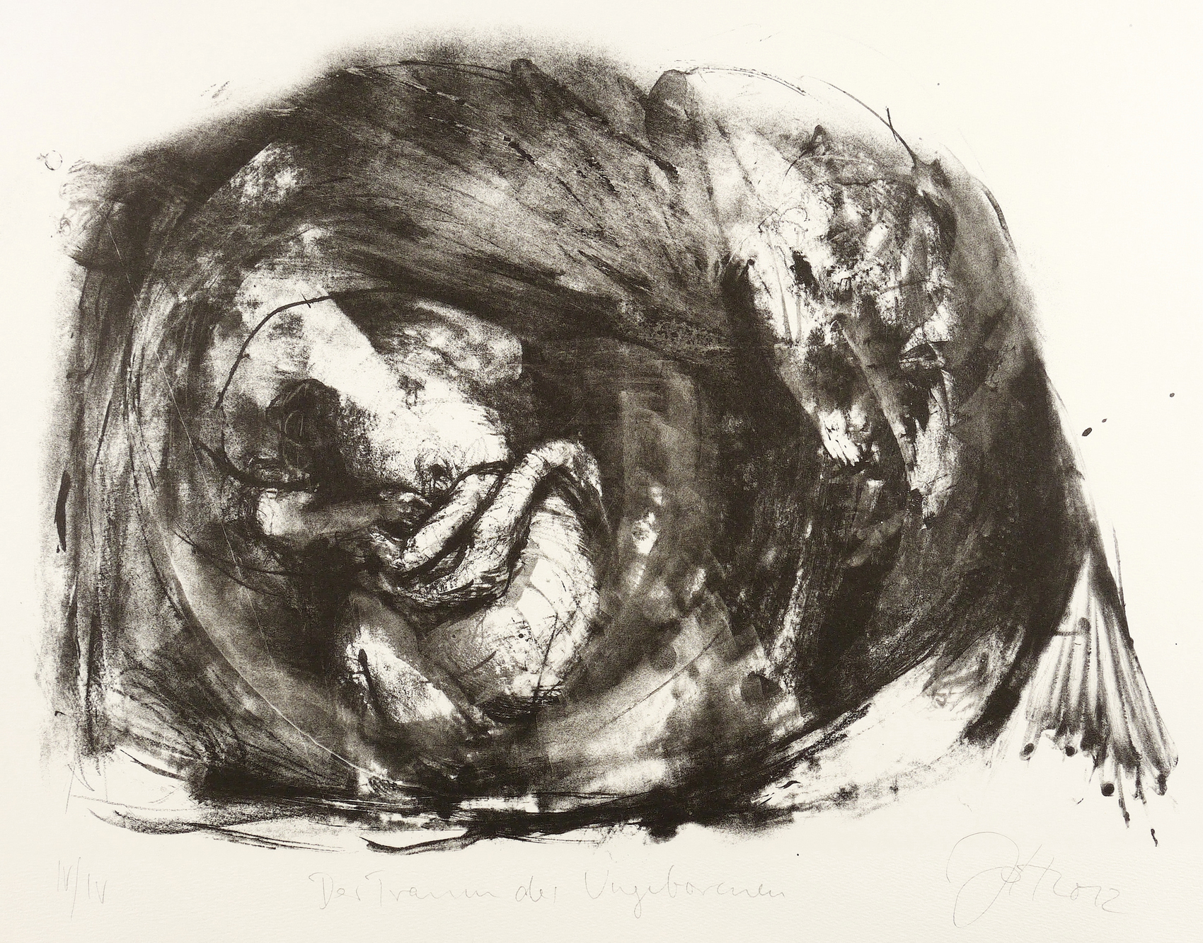 Der Traum des Ungeborenen