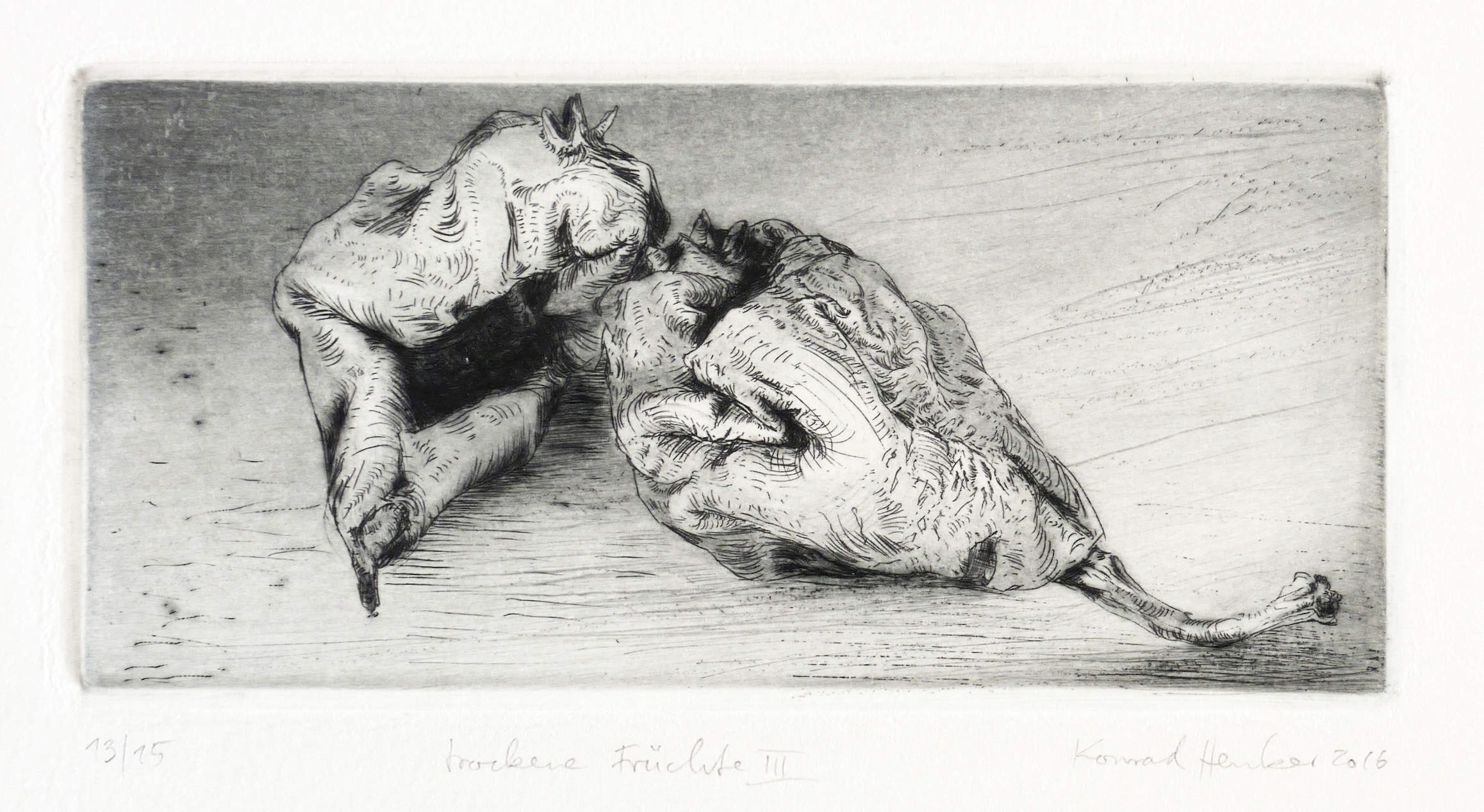 Trockene Früchte III