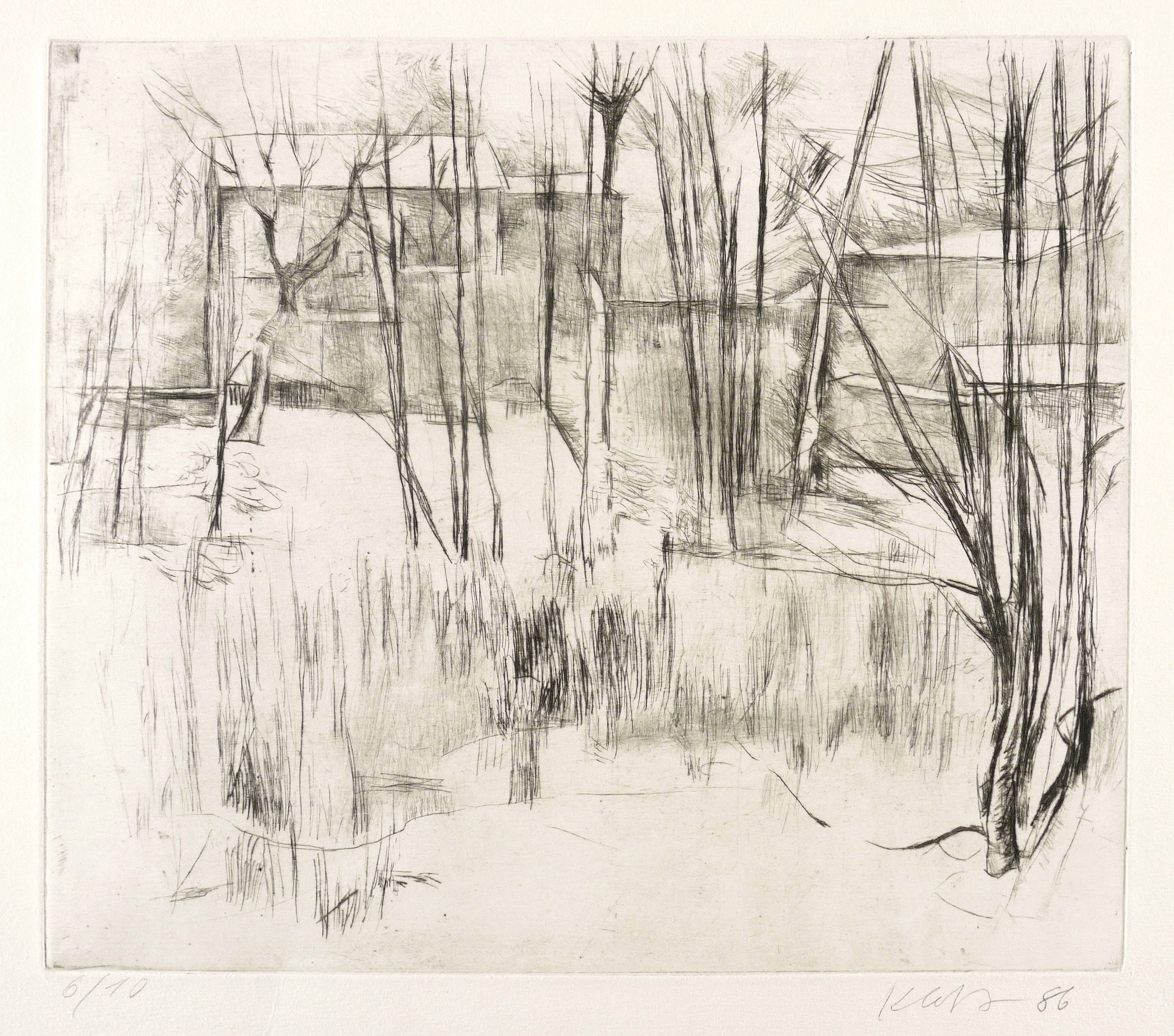 Häuser hinter Bäumen (Dresden)