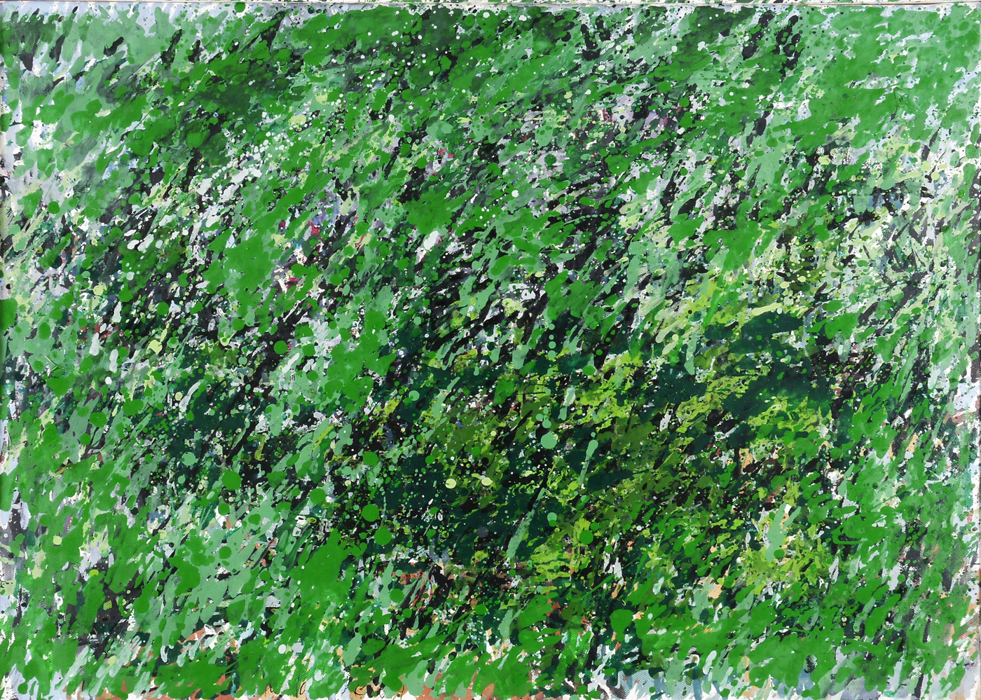 Wiesenausschnitt im Gera-Garten