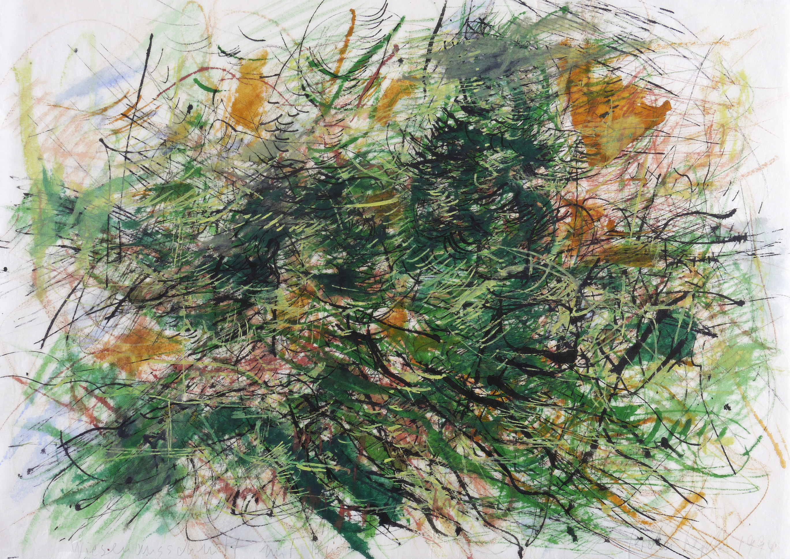 Wiesenausschnitt mit Brise