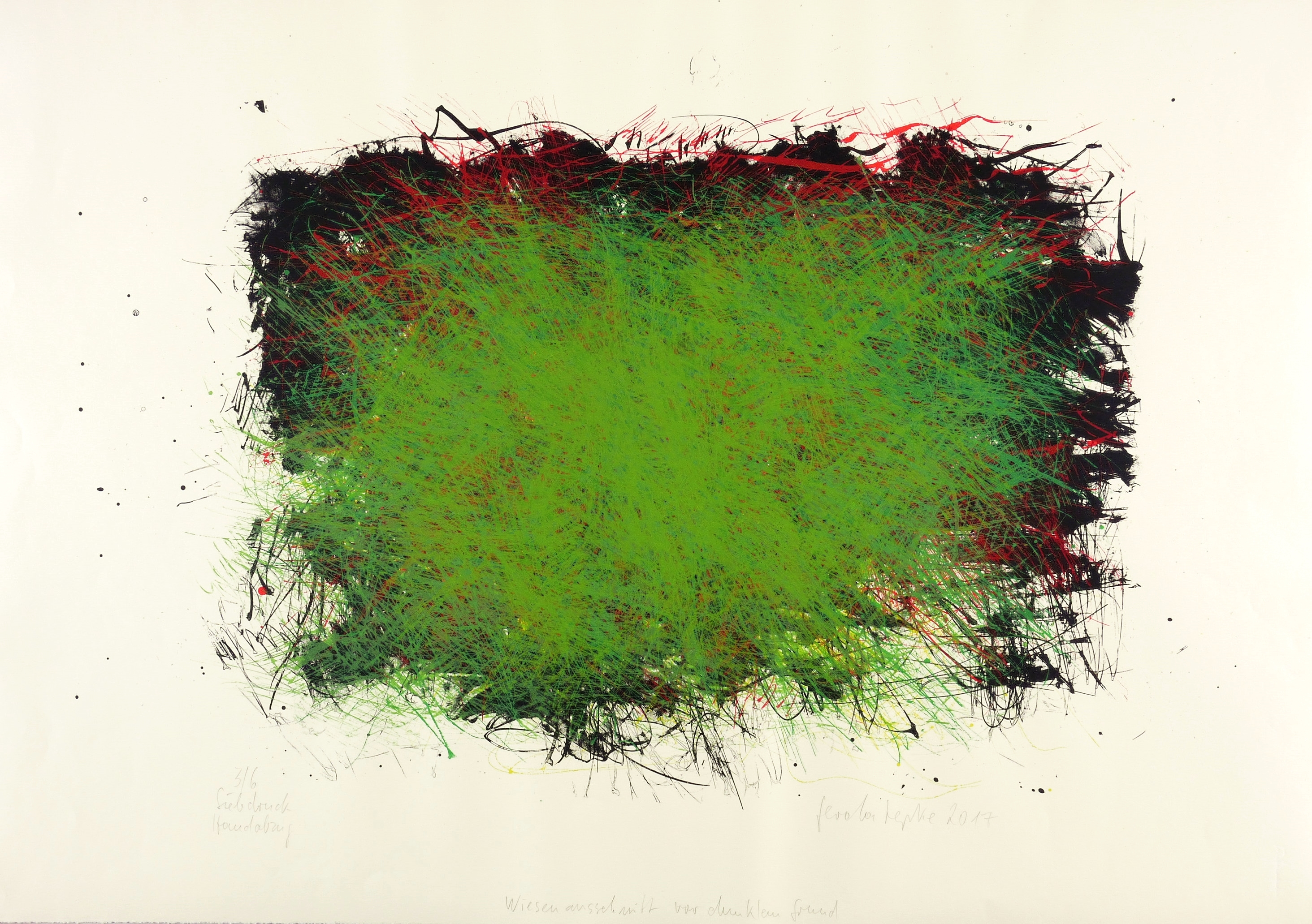 Wiesenausschnitt vor dunklem Grund