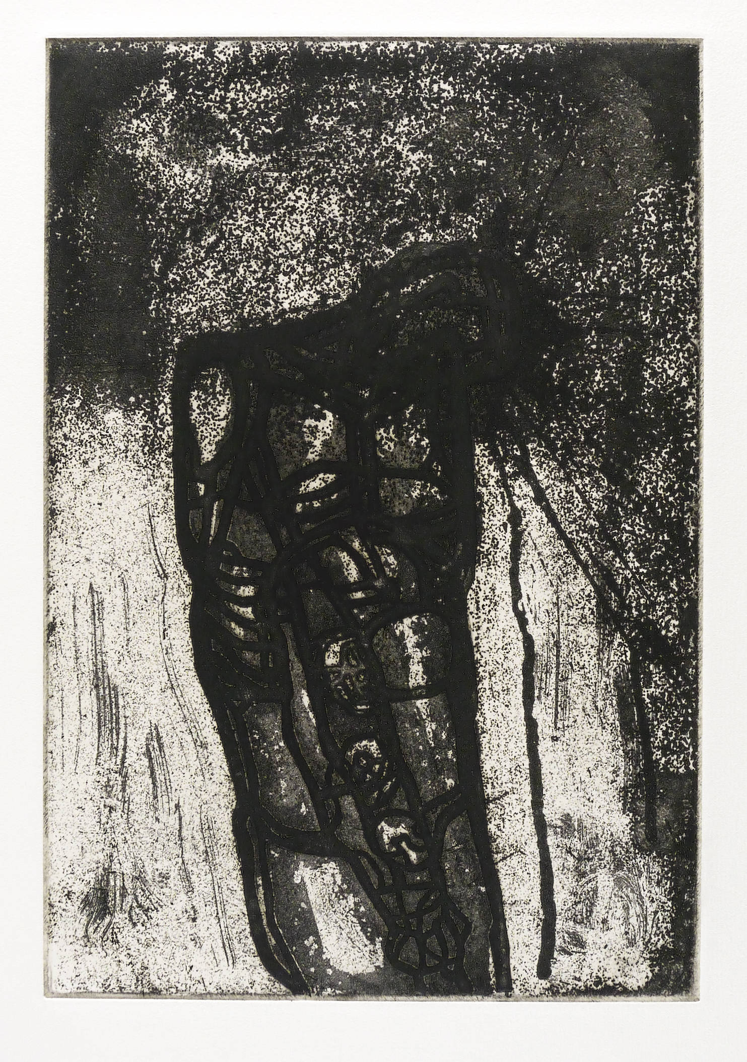 Tod im Bauch Tod im Bauch