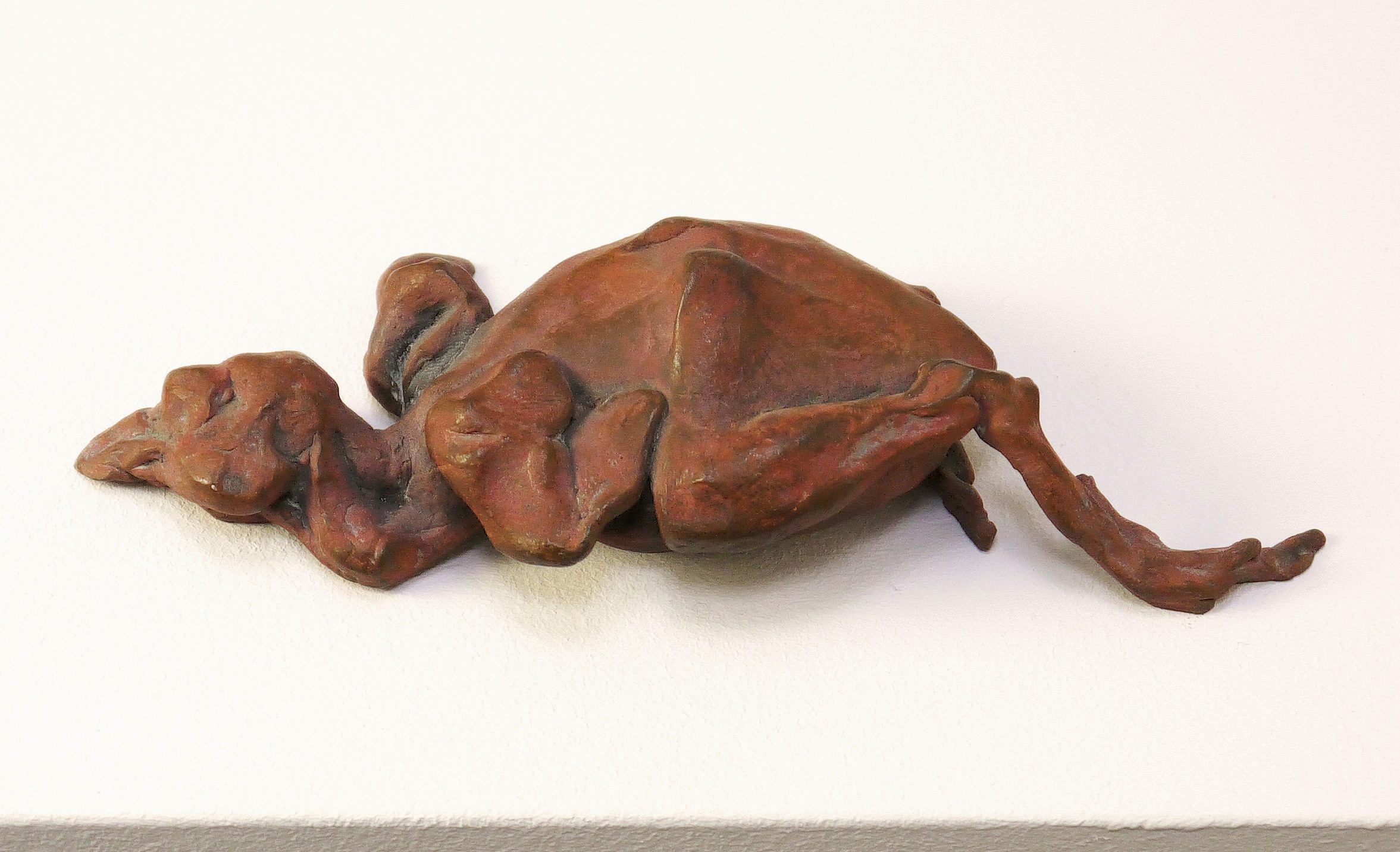 Schöner Scheitern I Schöner Scheitern I