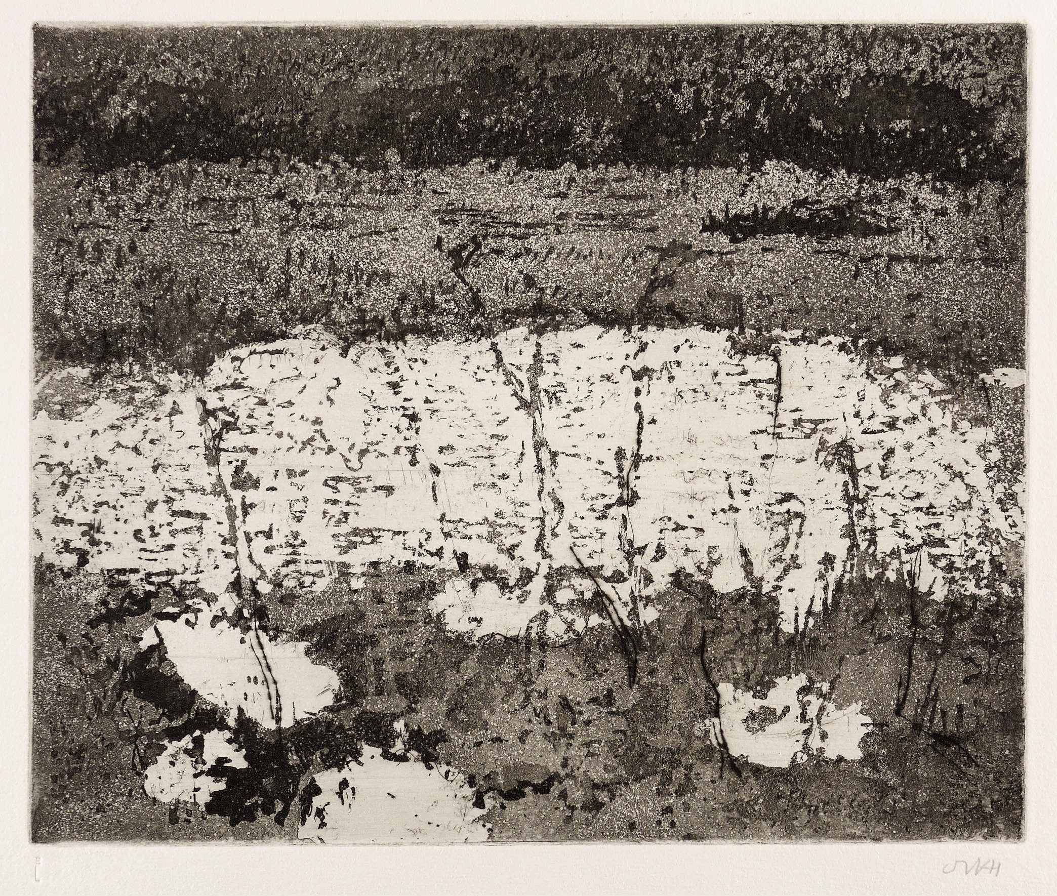 Otto Niemeyer-Holstein, Überschwemmte Wiesen II, 1978