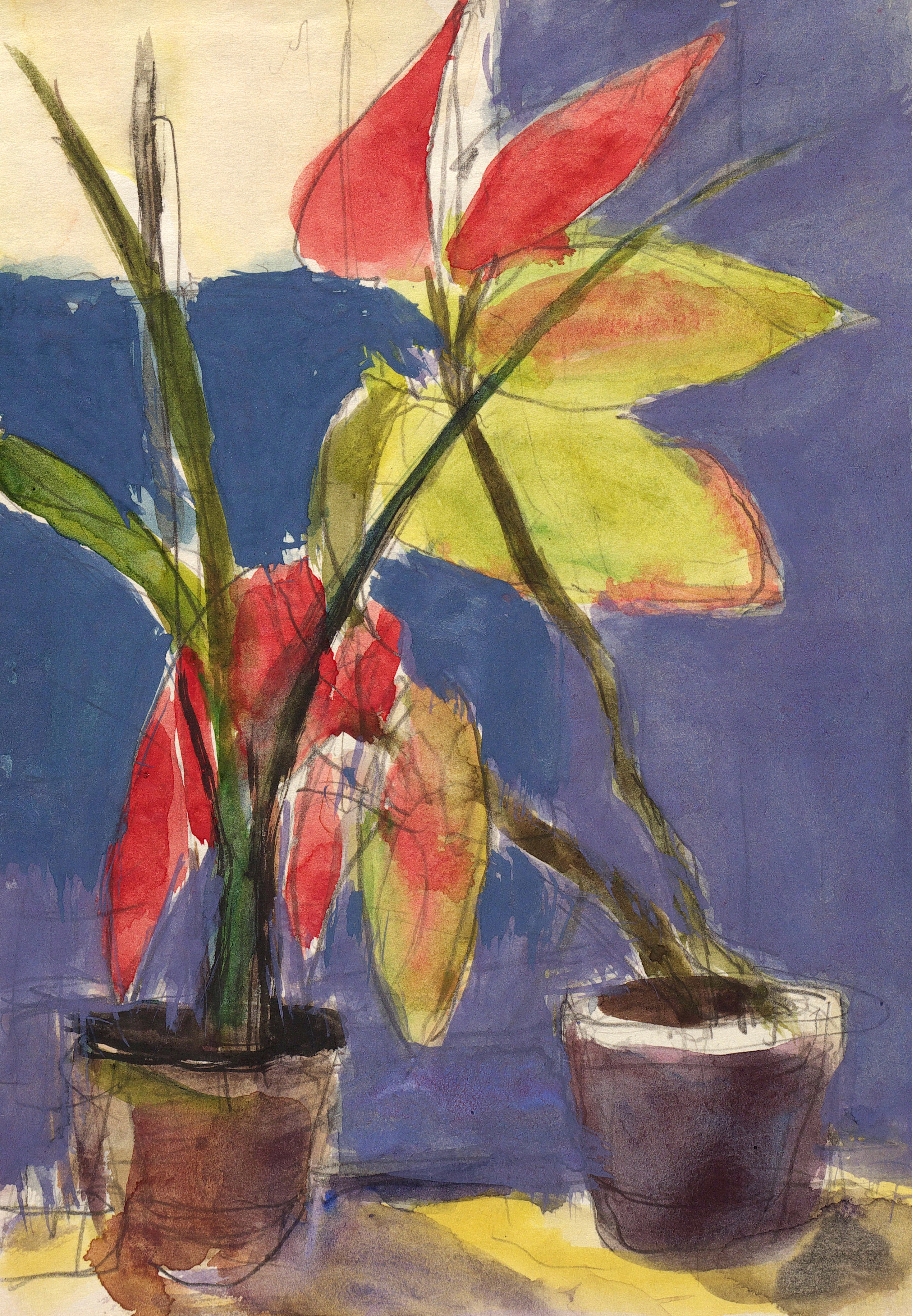 Egon Pukall, Zwei Topfpflanzen, 1970-1980