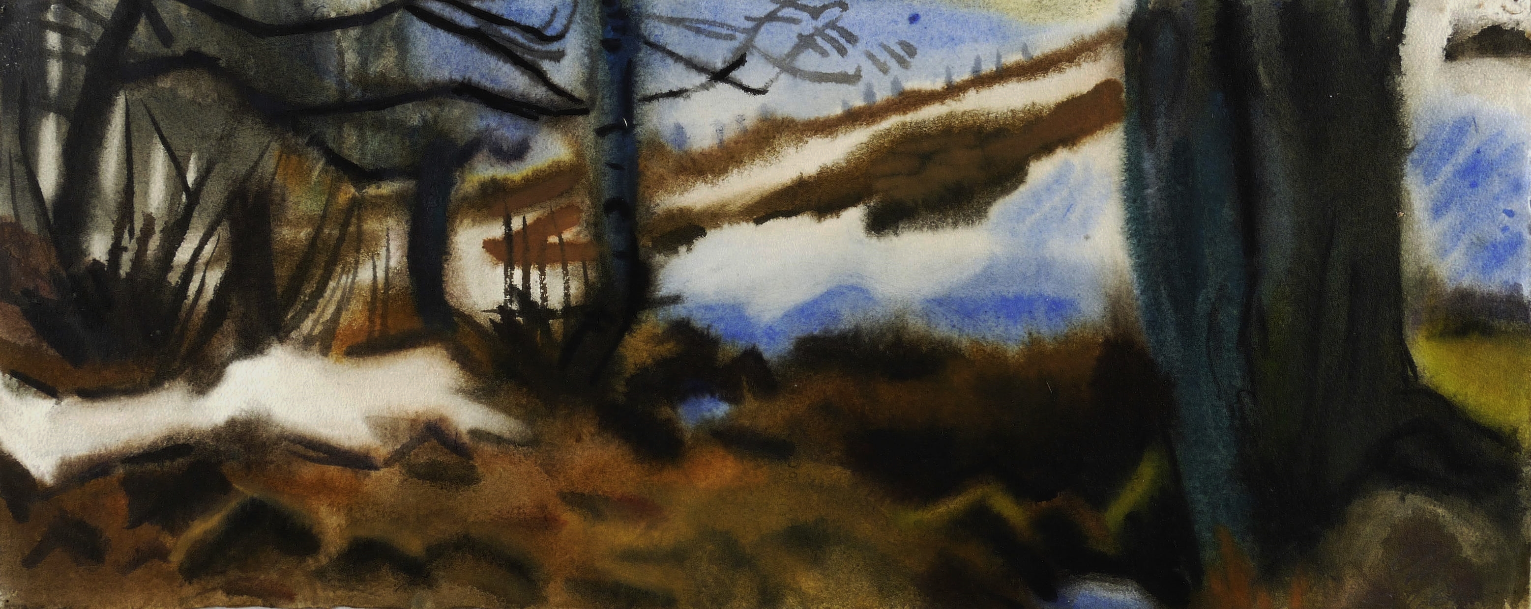 In Diebels Grund zur Schneeschmelze