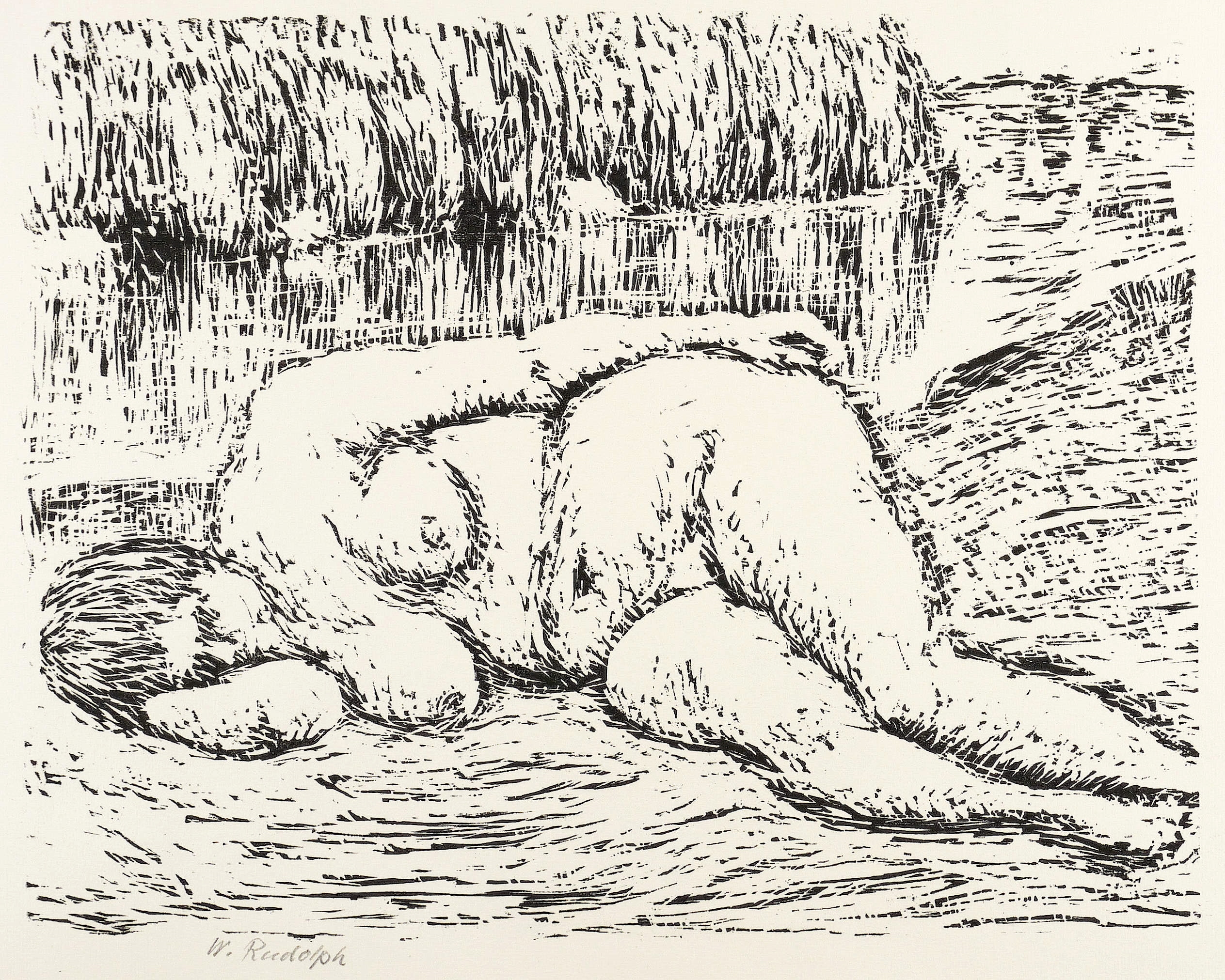 Liegender Akt vor Pillnitzer Elbinsel