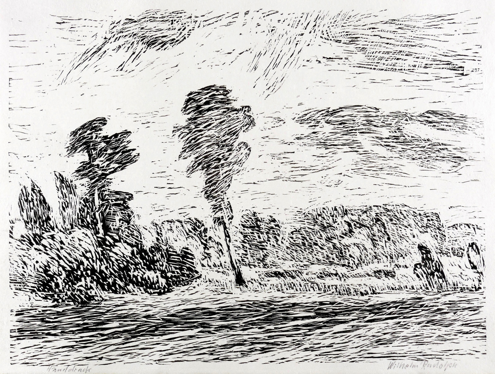 Mann mit Fohlen in den Elbwiesen