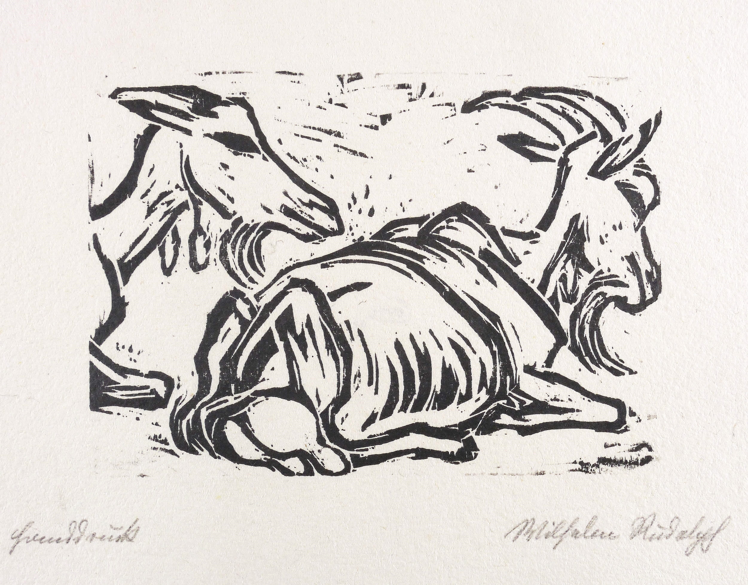 Zwei liegende Ziegen