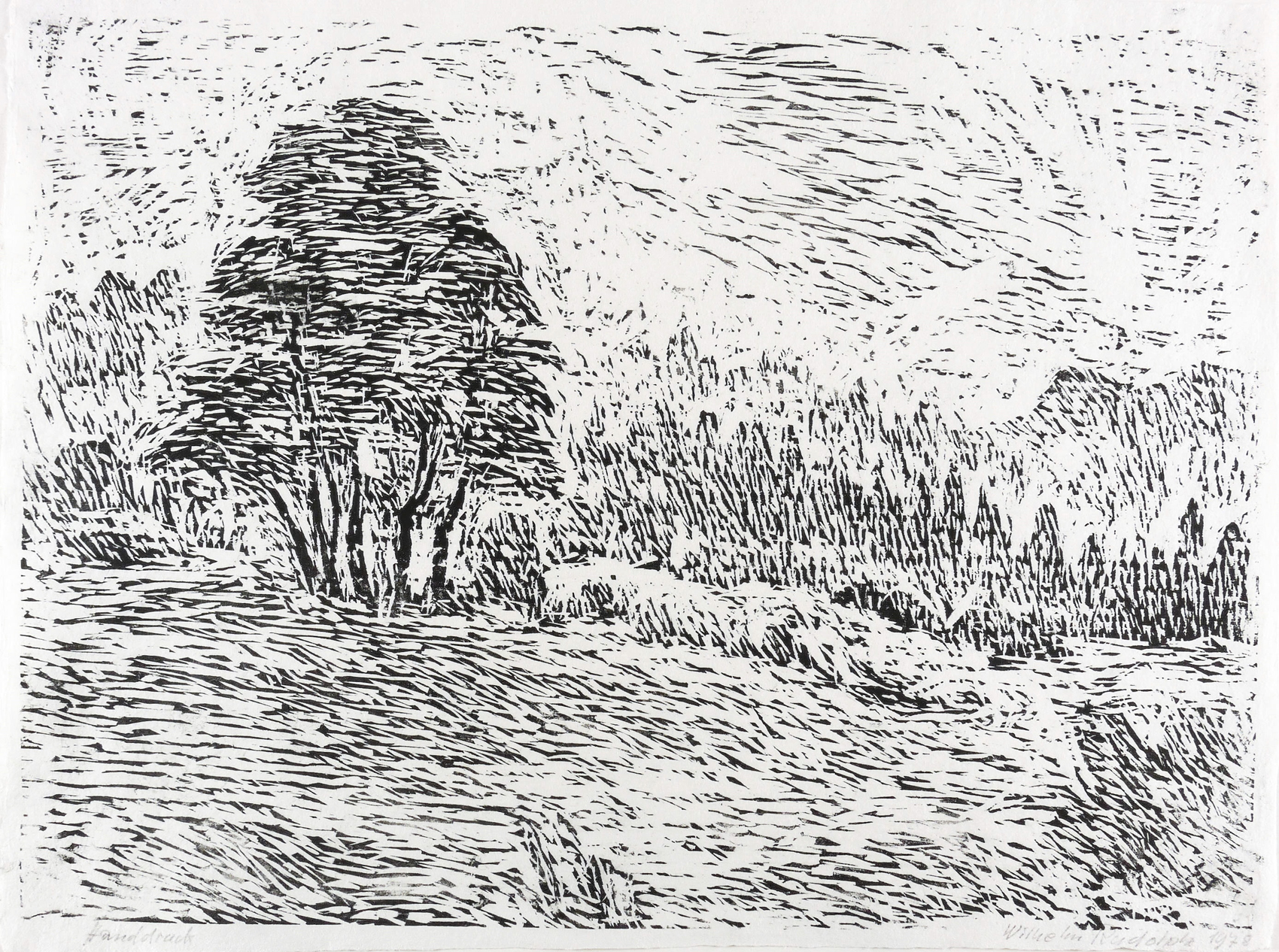 Heidelandschaft (Wiese mit Gebüsch und Baumgruppe)