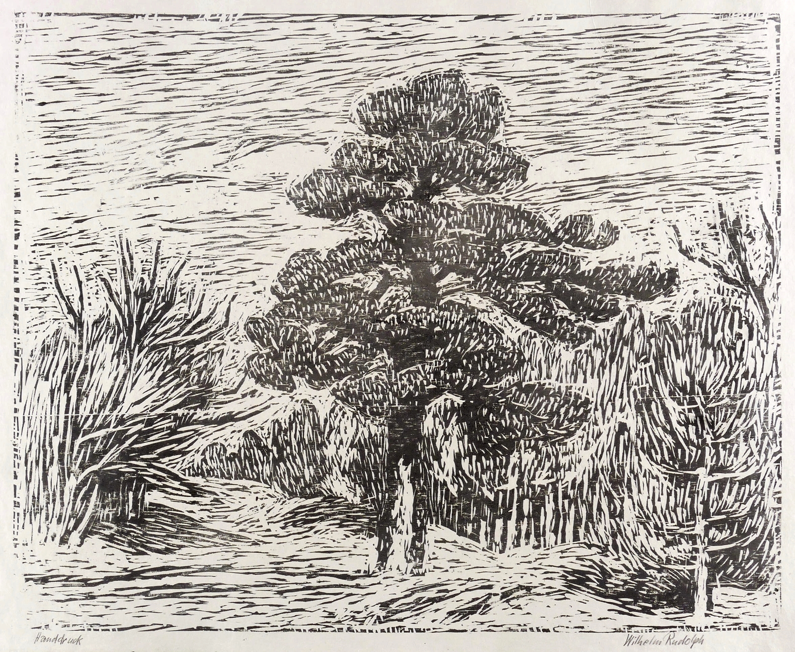 Wilhelm Rudolph, Samenkiefer in der Heide, 1945-1955