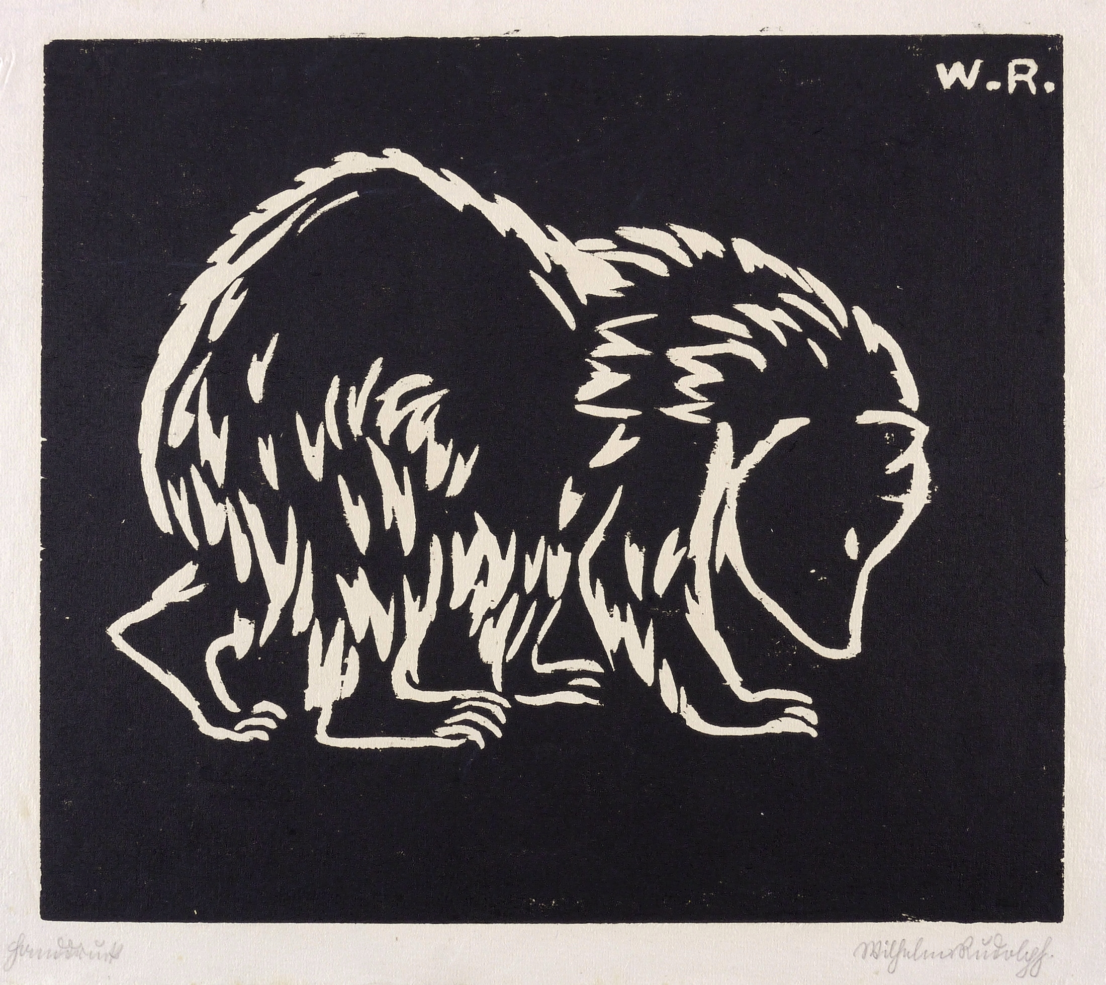 Wilhelm Rudolph, Bär, 1919