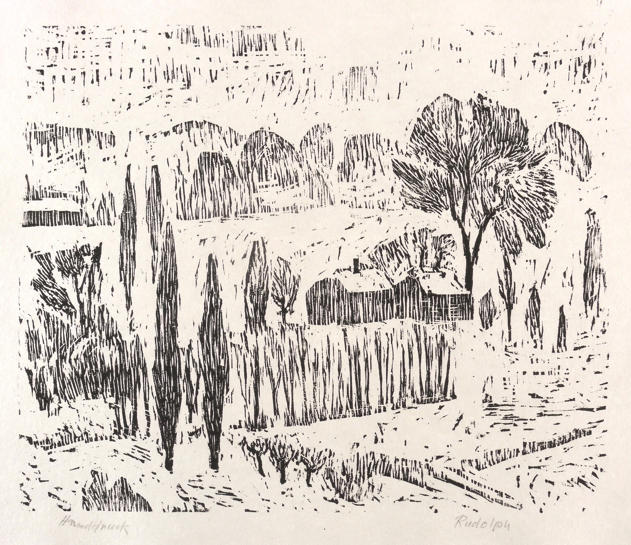 Pappeln an der Elbe (Elbauen bei Pillnitz)