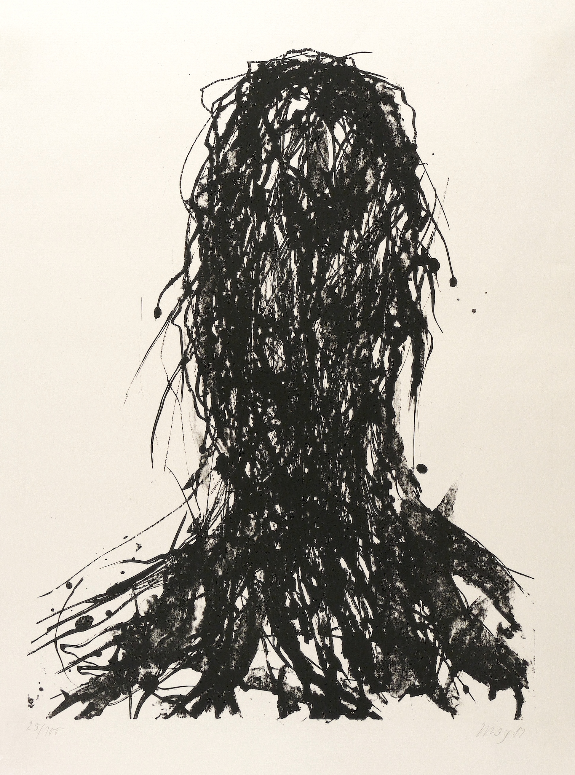 Schmaler überlängter Kopf