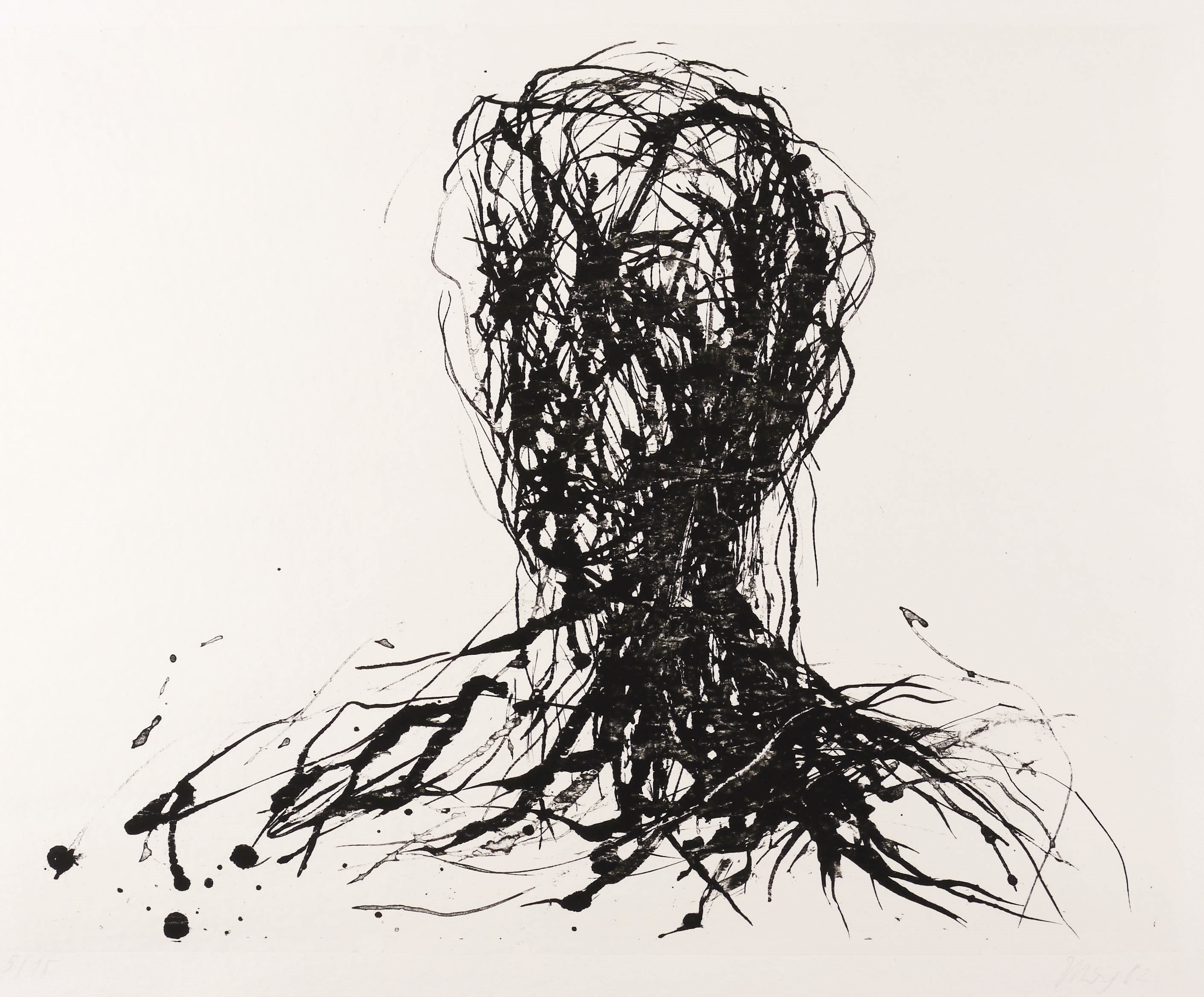 Frauenkopf (nach V.C.)