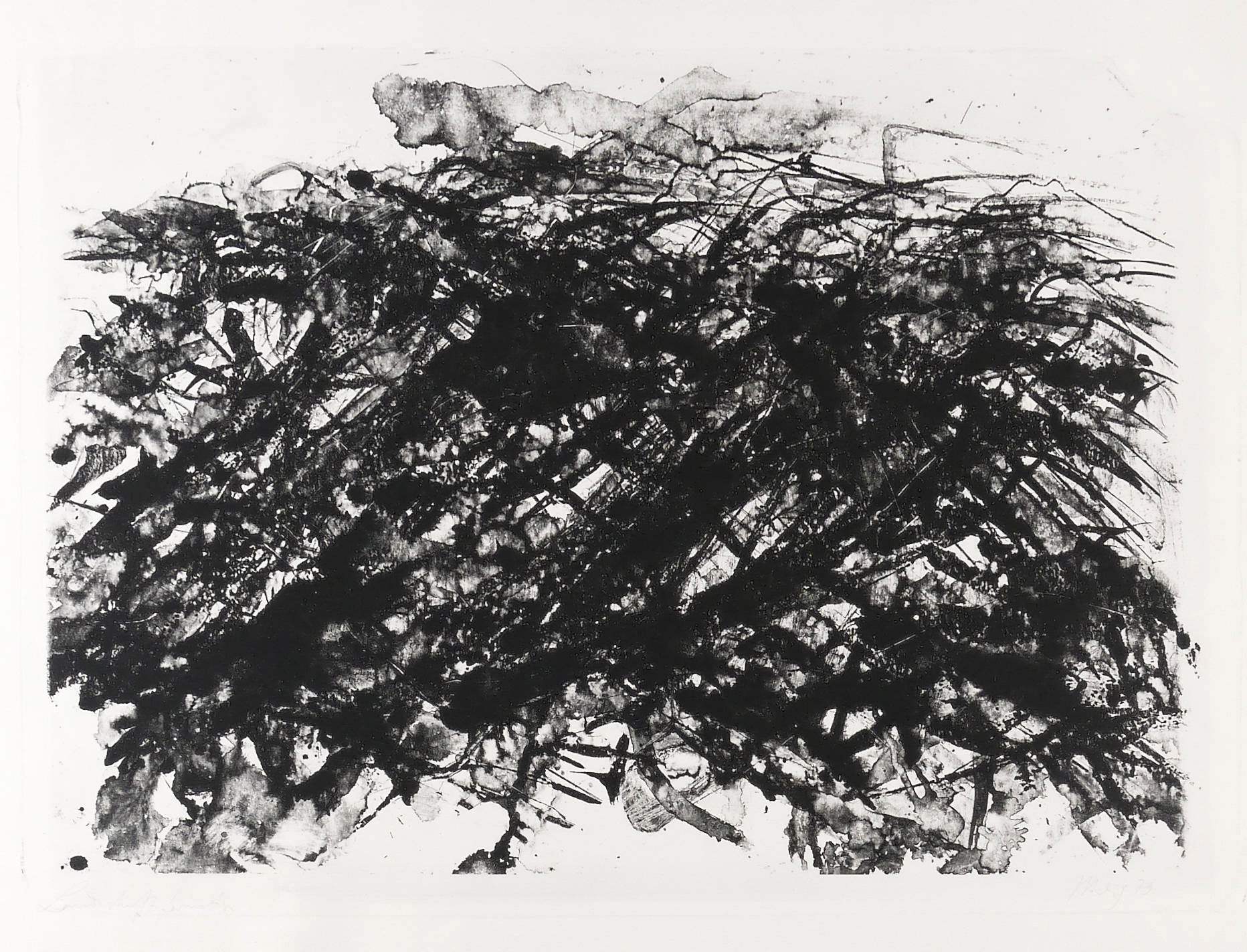 Buschlandschaft und Wolke