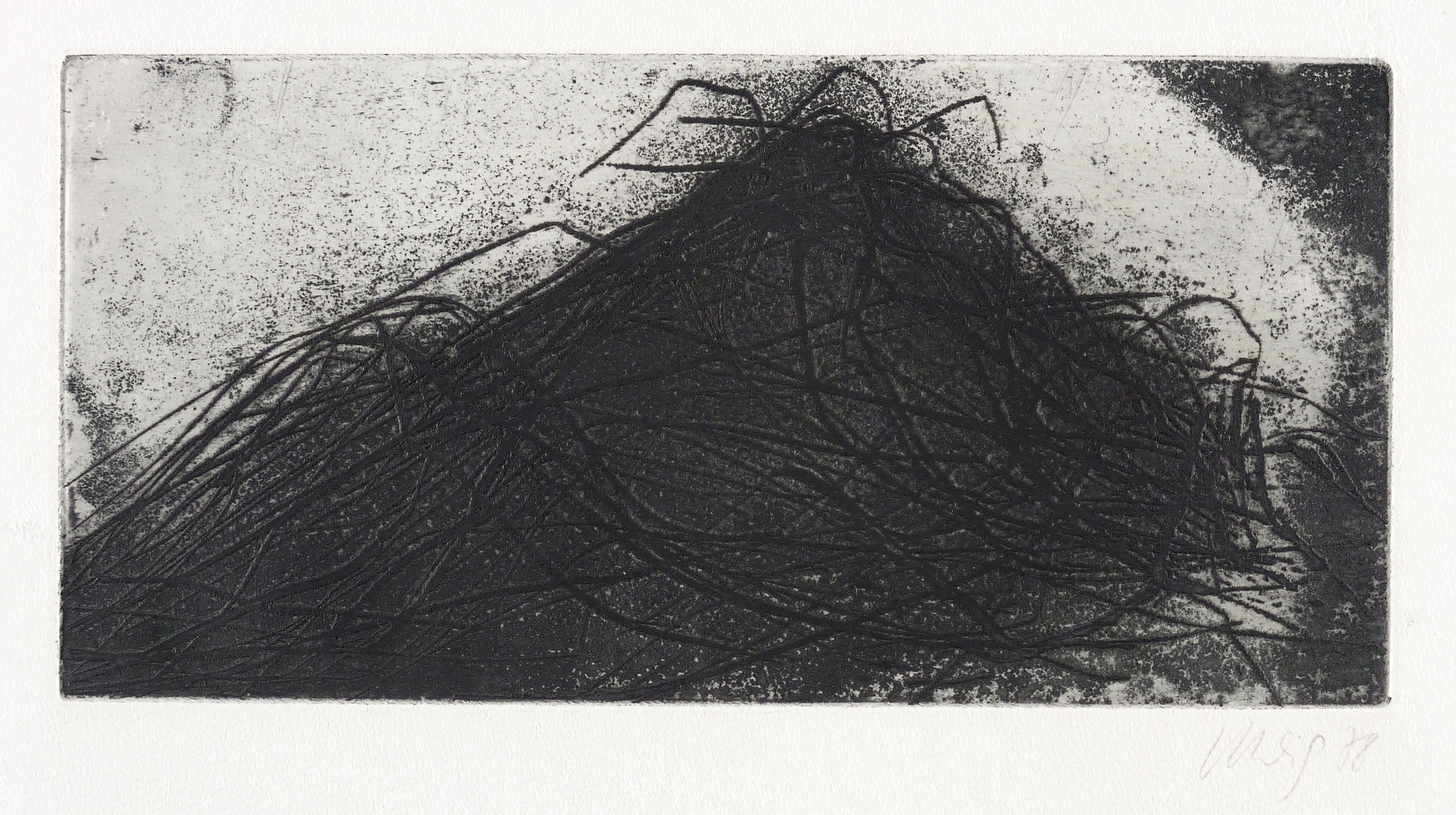 Kleines nächtliches Gebüsch